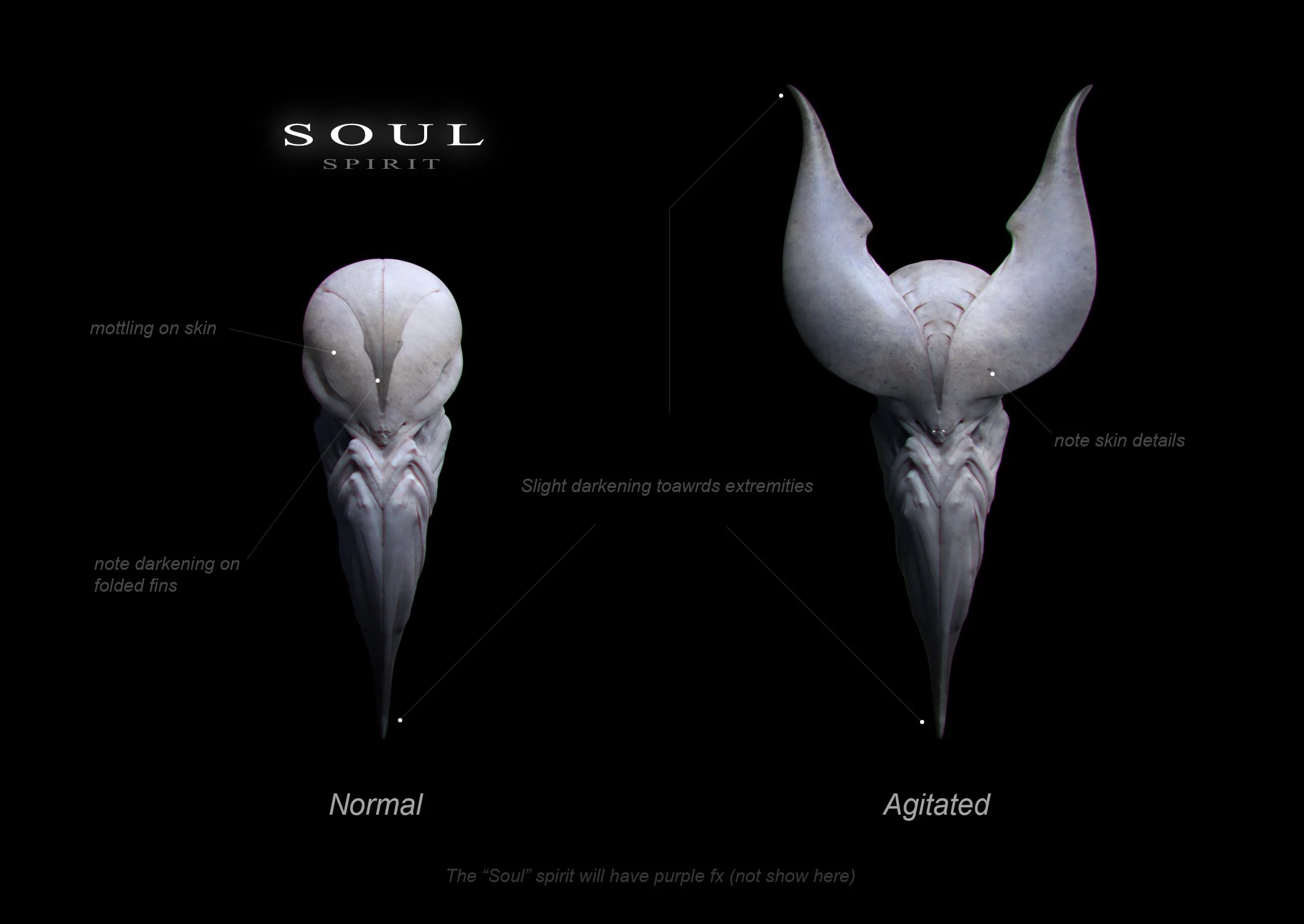 Soul_Spirit (1).jpg