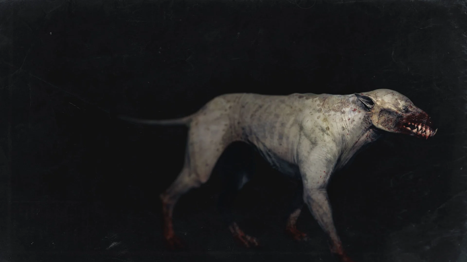 img_TheDamnedWolf_Focused.jpg