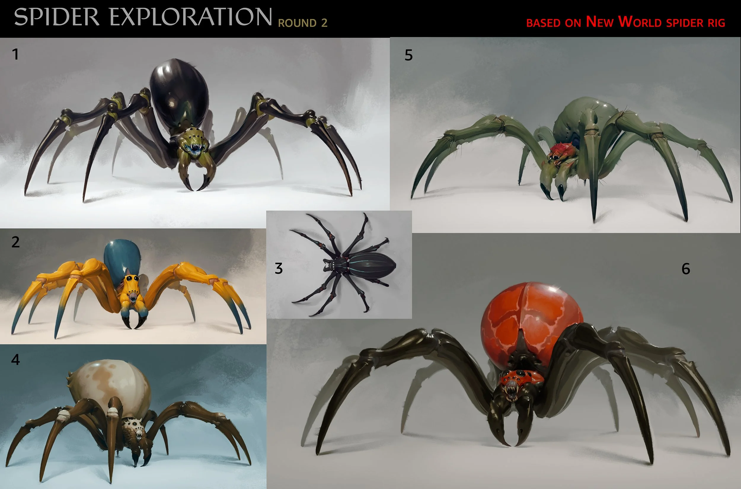 Spider_Comp_R2.jpg