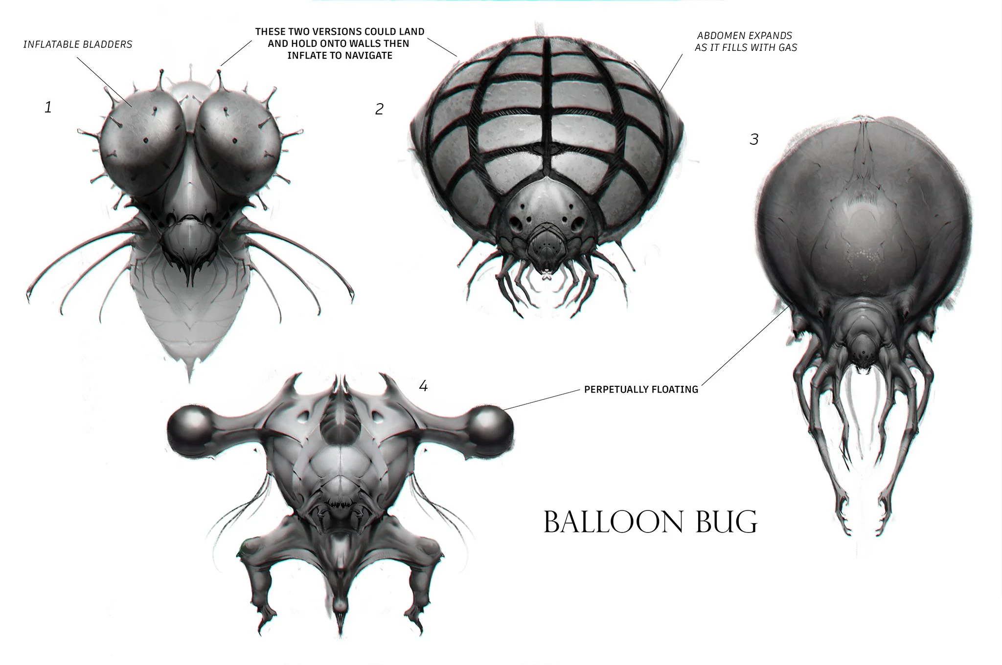 BalloonBug.jpg