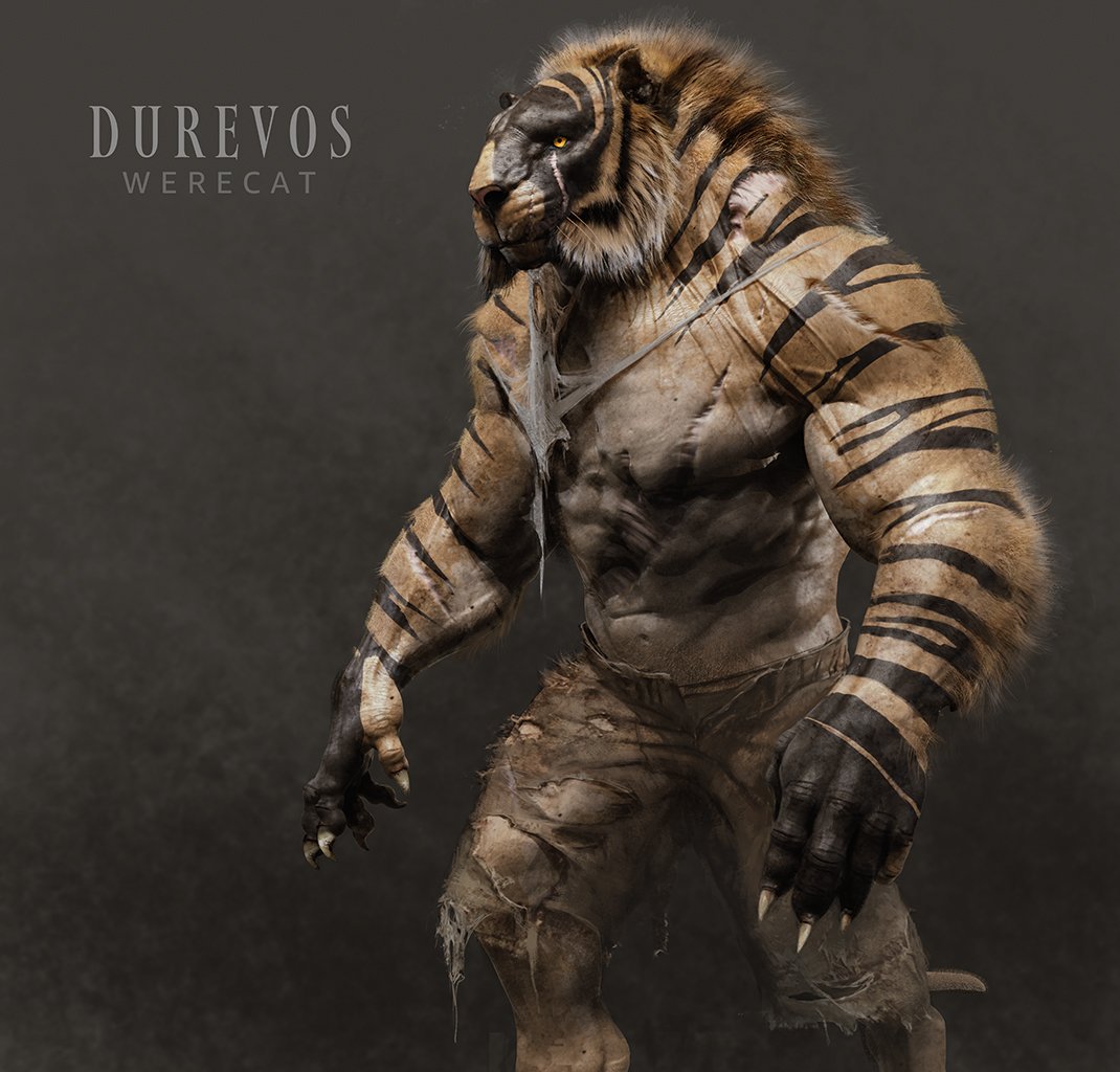 wereCat_Final.jpg