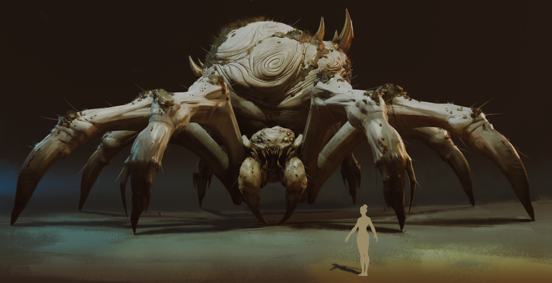 image (282).png