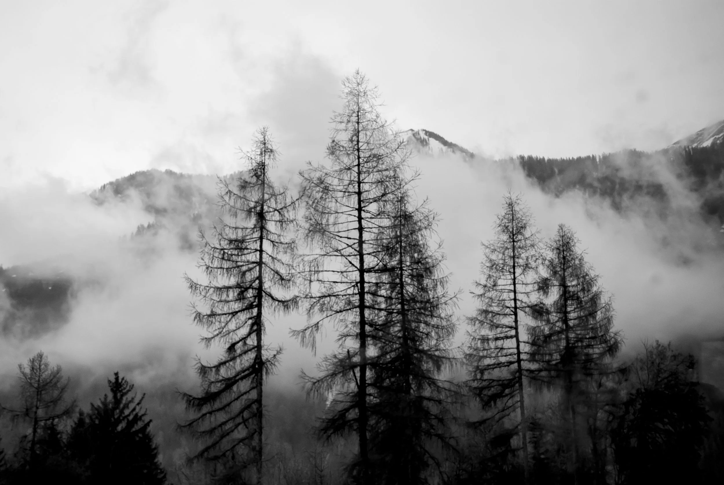 Landscapes_1.jpg