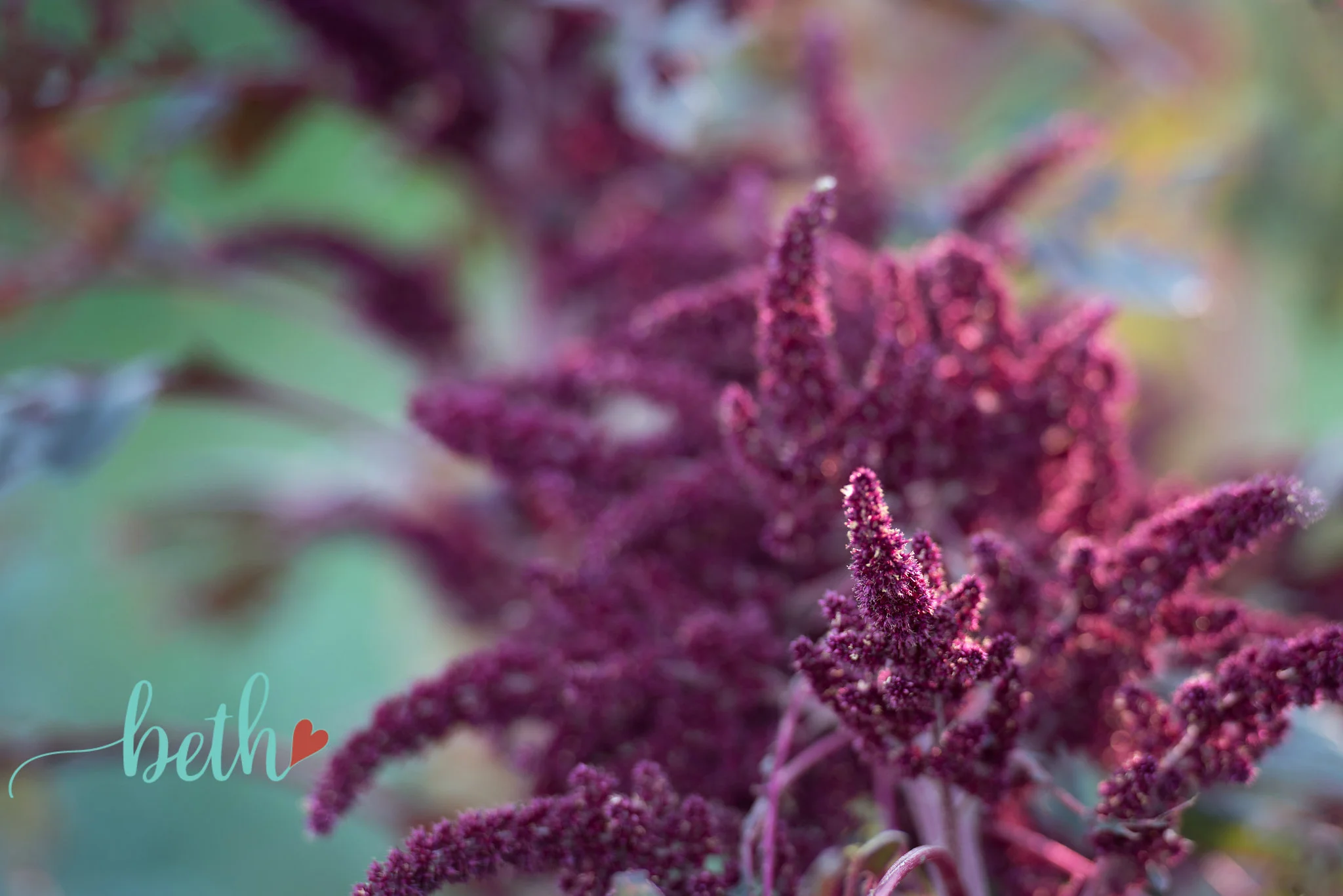 BluebirdFarm10302016-46.jpg