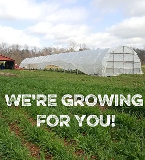 we are growing for you text with hoophouse.jpg