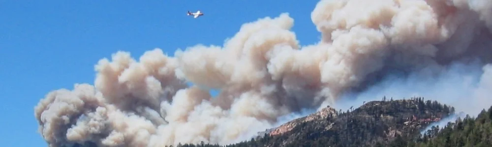 Air attack on the 2007 Butler fire (Photo by _____ Dennis Moran)