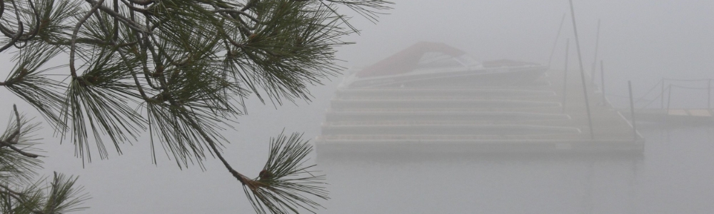 Can summer be far behind? (Photo by Bob TeSelle)