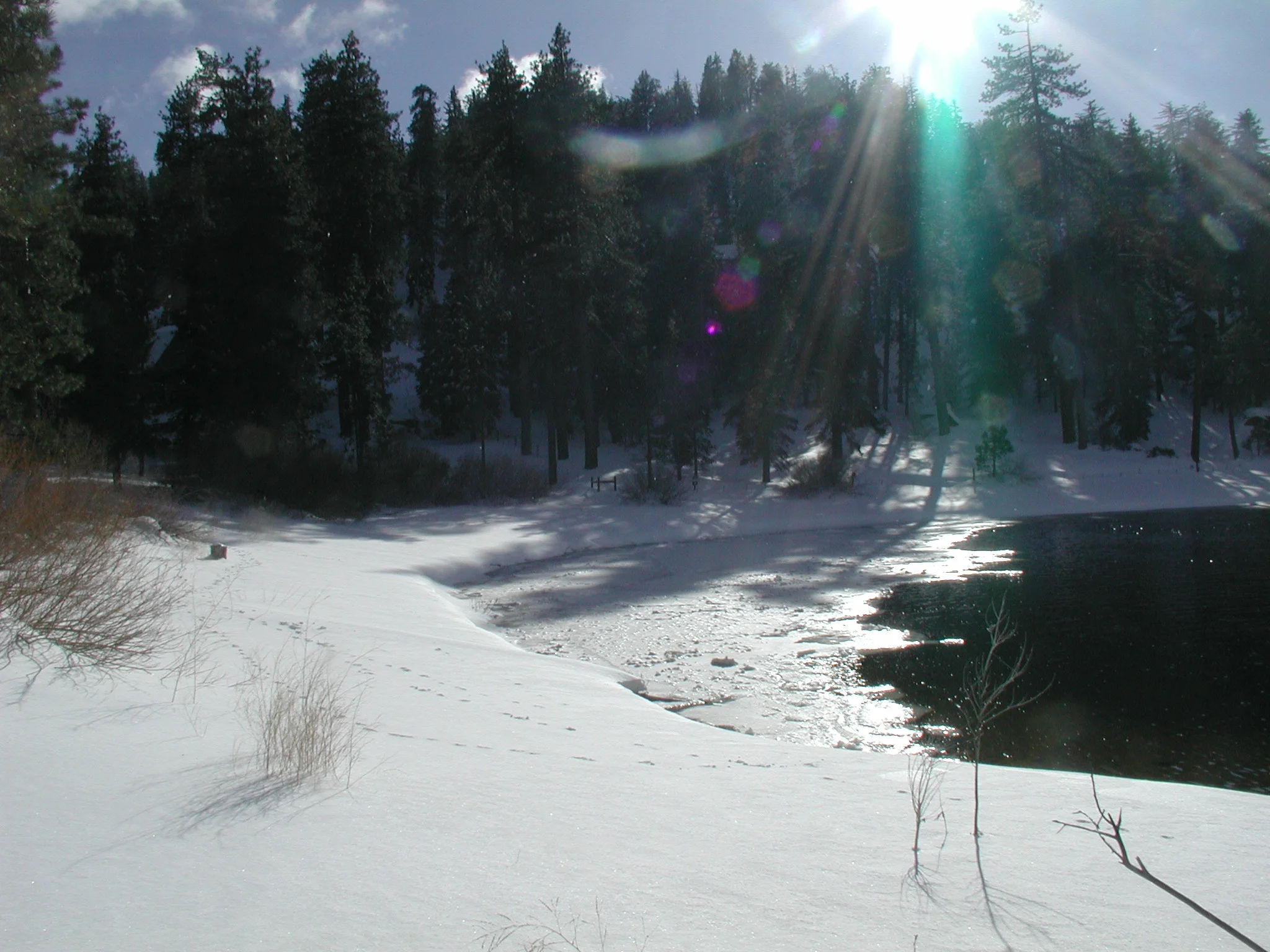 P1010026.JPG