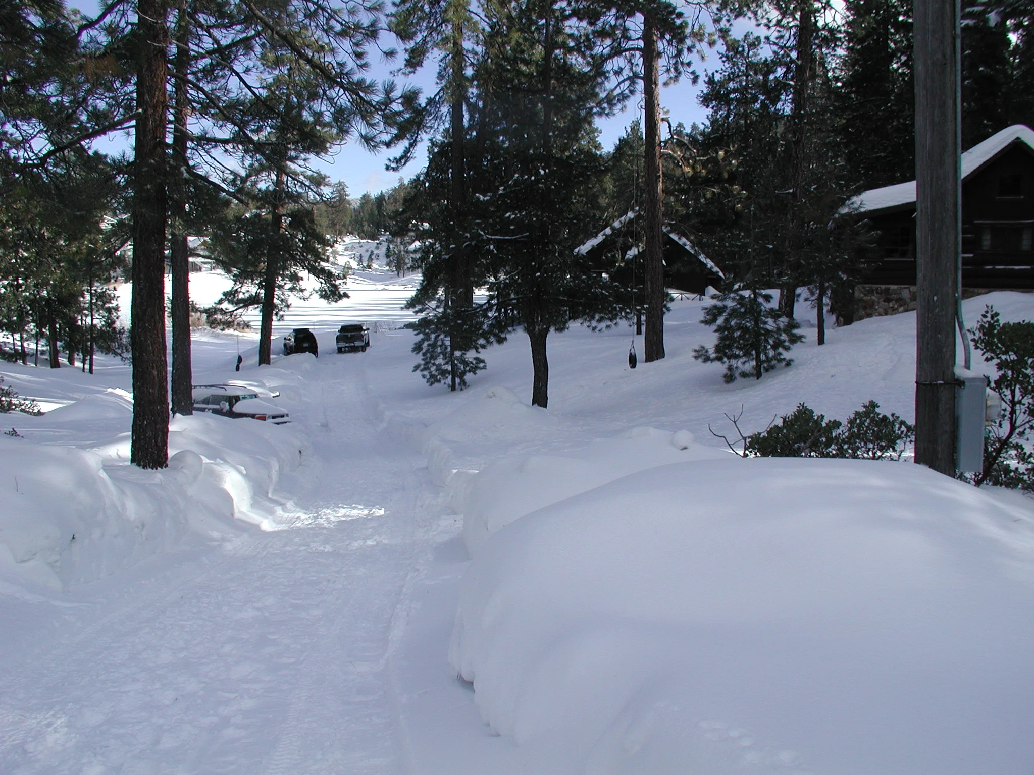 Looking east from Turn-Around Circle toward Papoose Bay