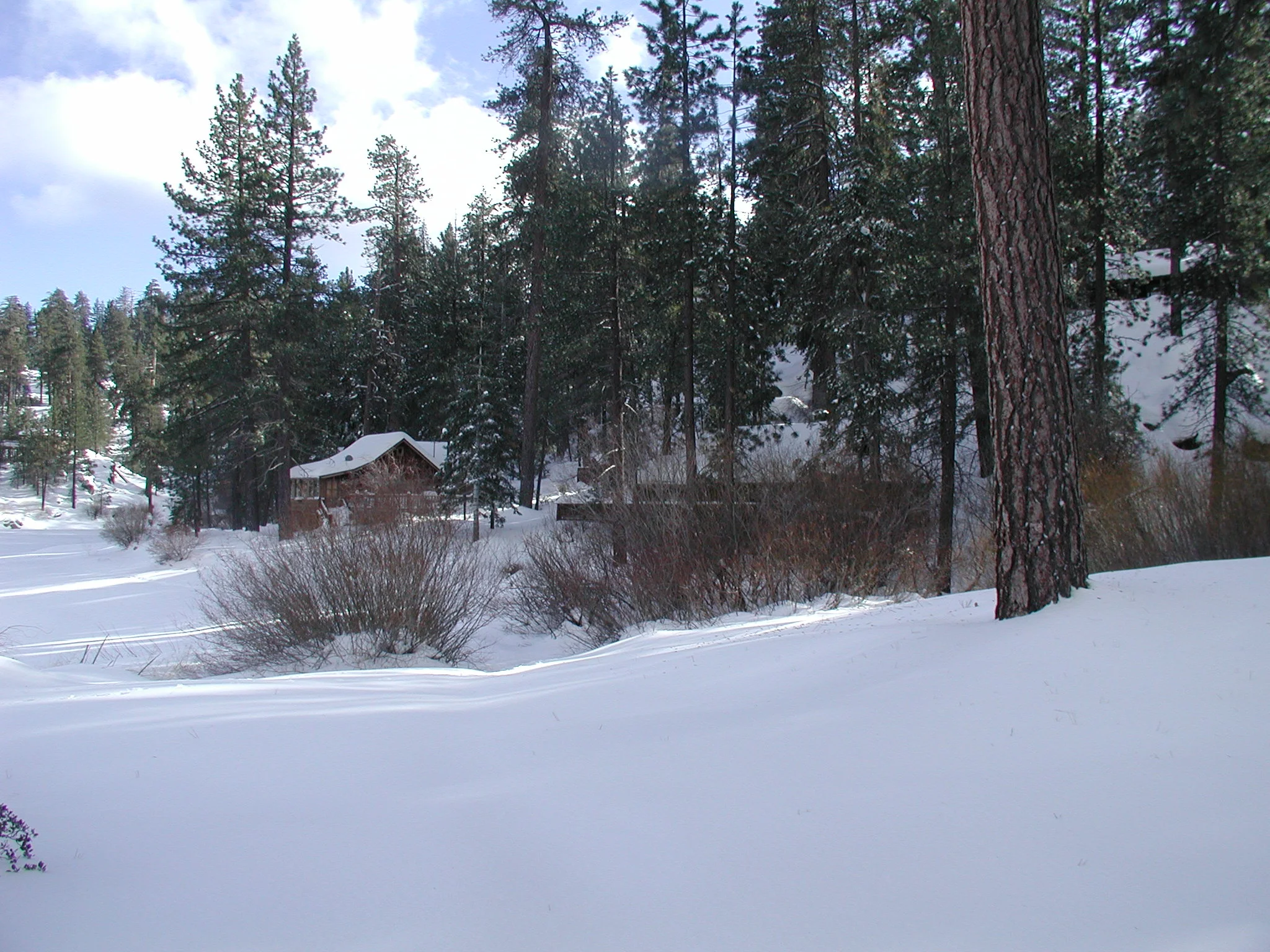Looking East Toward Cabins 8 and 9