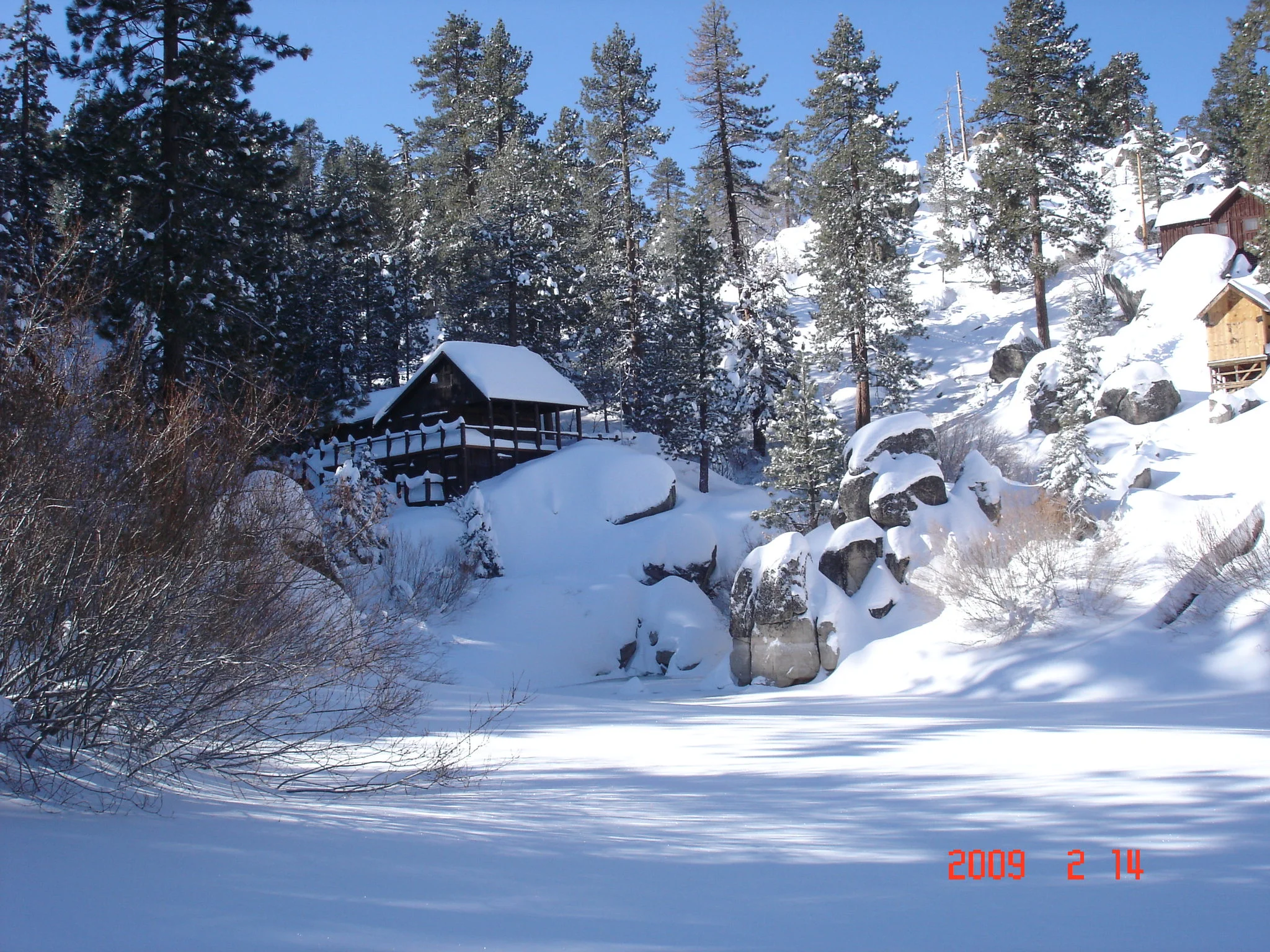 Cabin 85