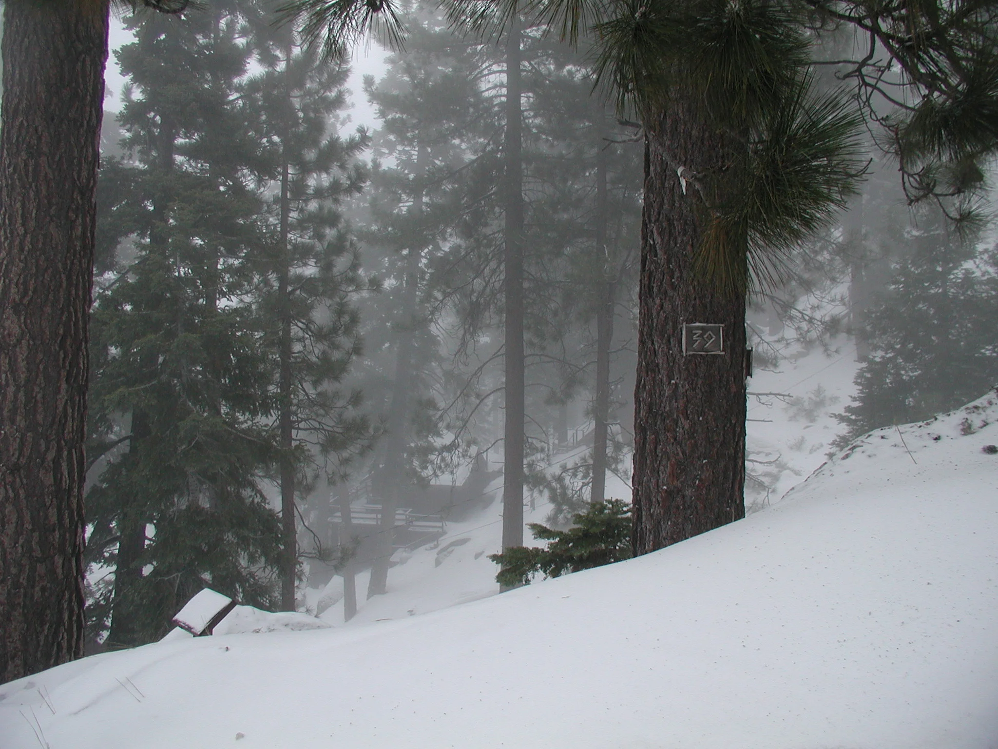 Looking East at Cabin 27