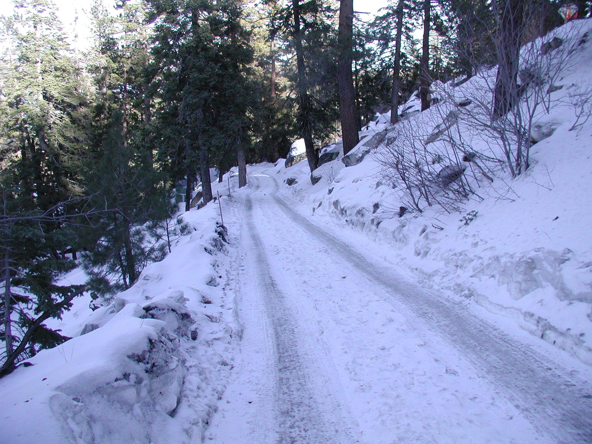 Keystone Point Road above Cabin 43