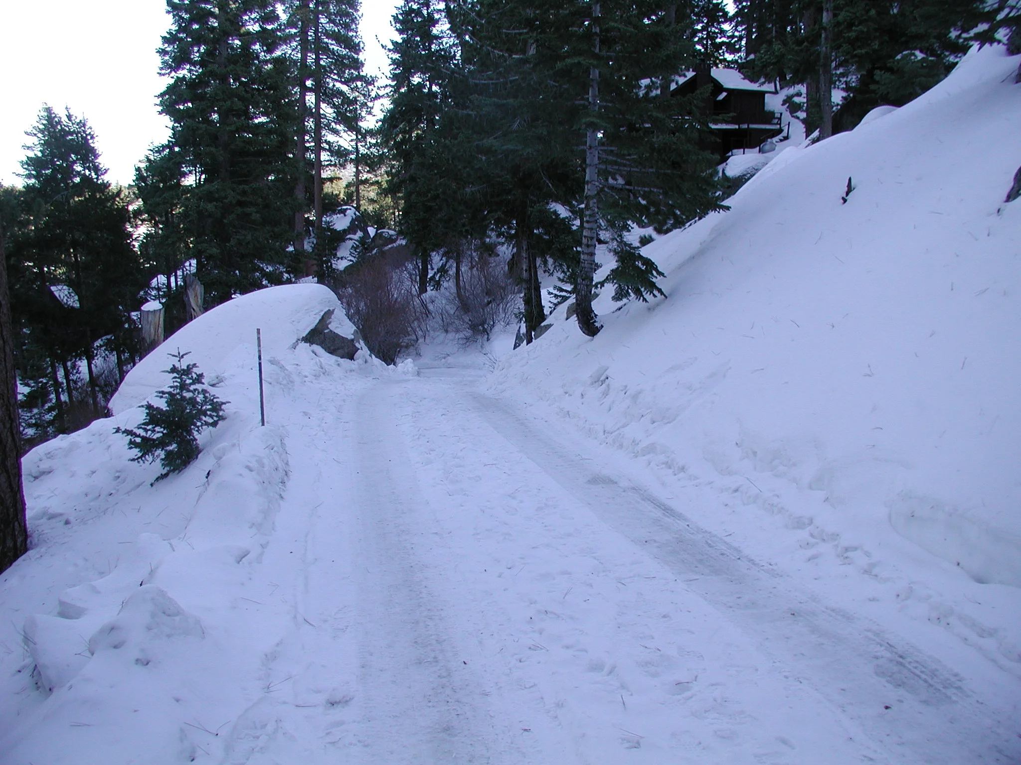 Keystone Point Road above Cabins 38 and 41