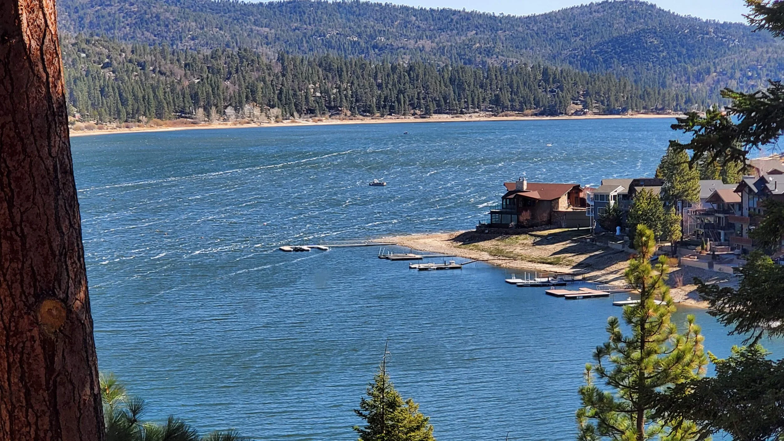 Looking east across Fisher Cove