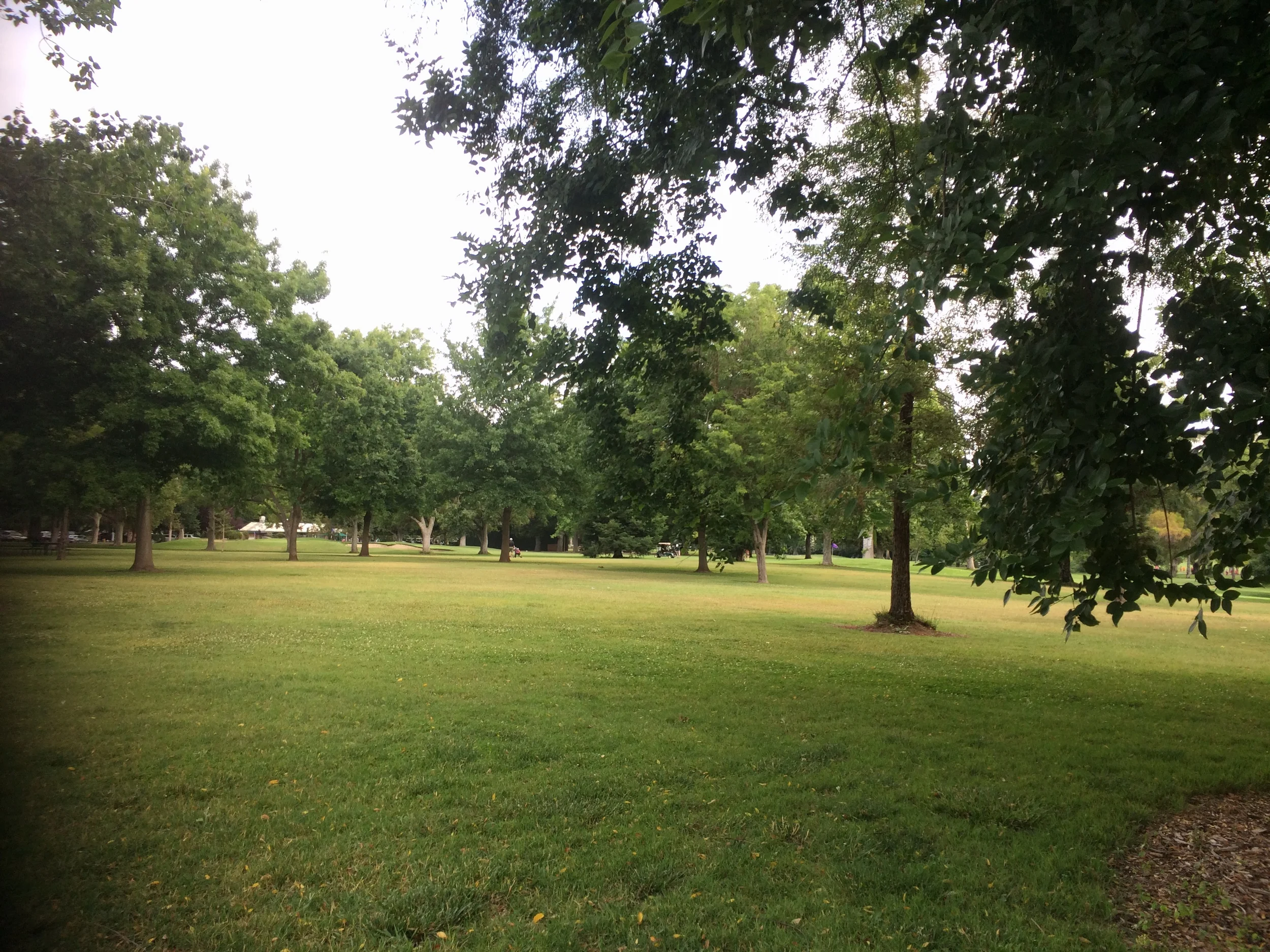 The park ...