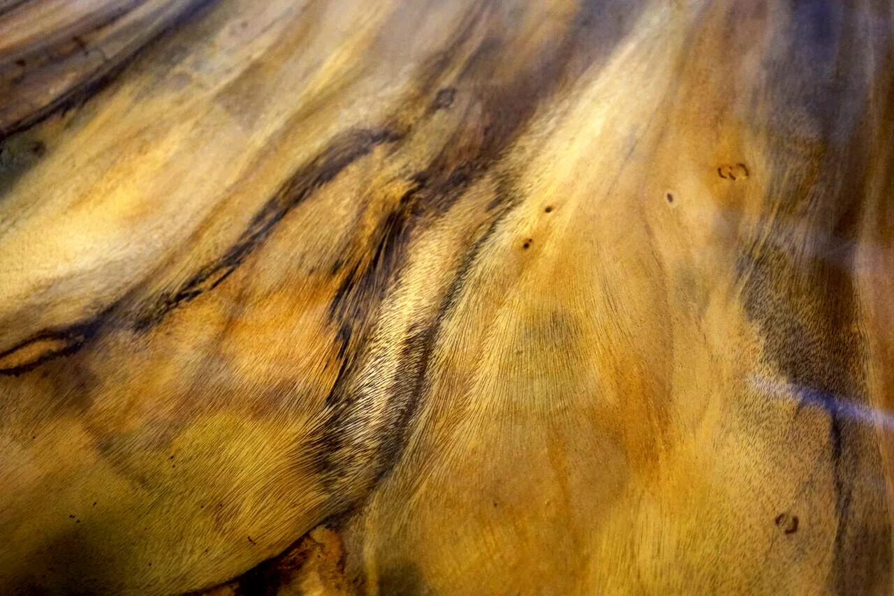 wood grain.jpg