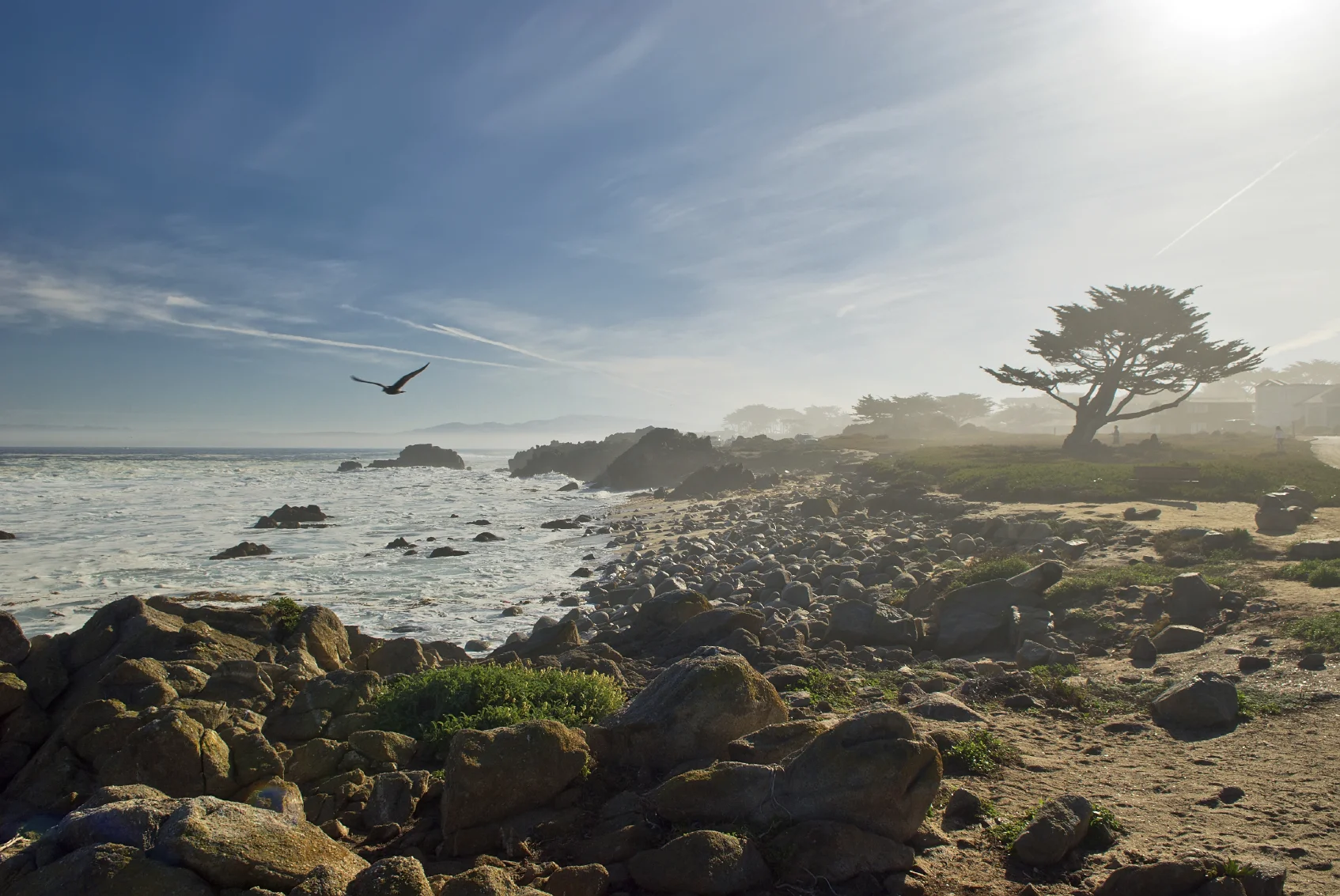 17-Mile Drive copy.jpg