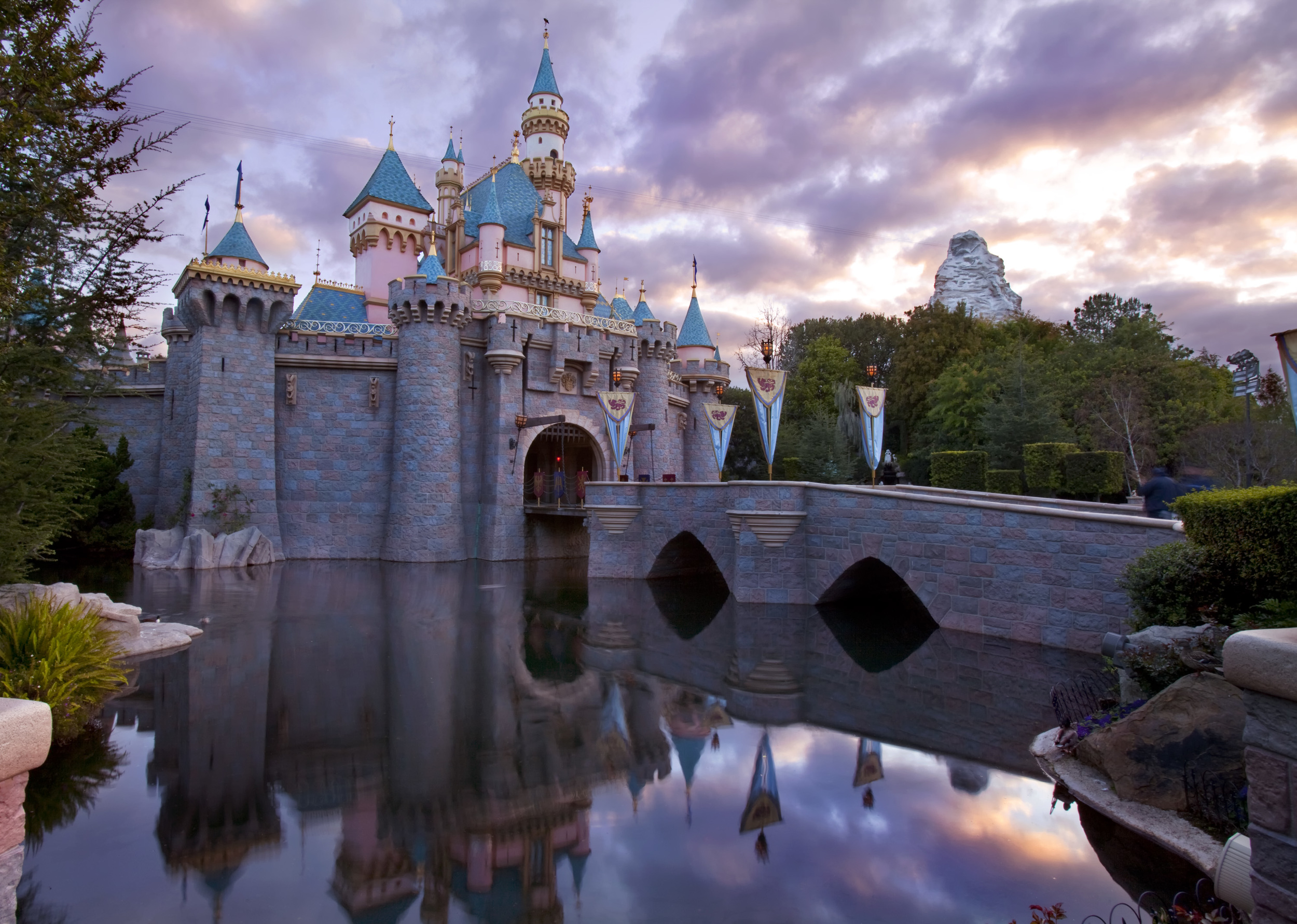 Disneyland Resort