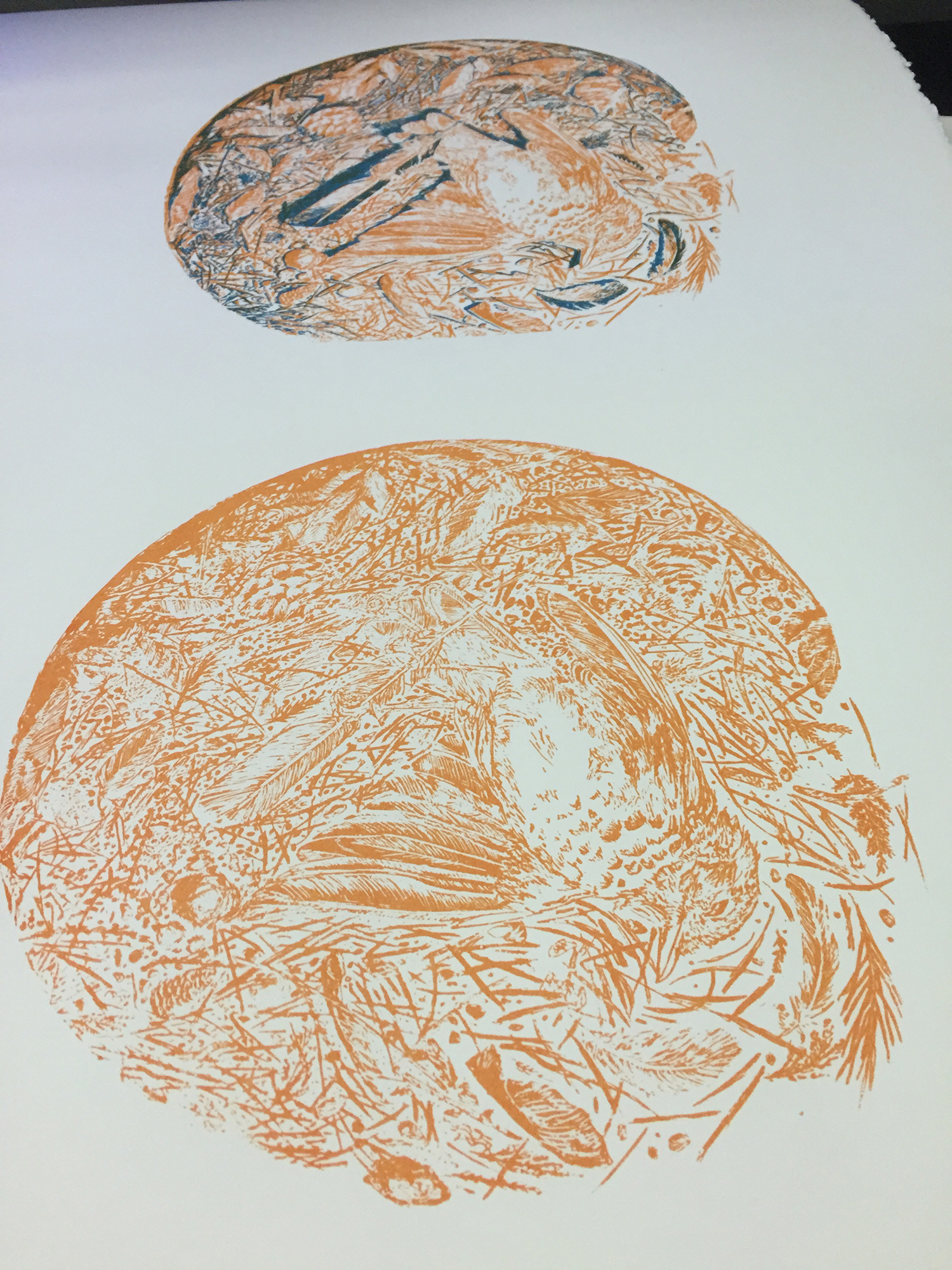 This is the first layer (in the foreground) and the second (behind it), showing the cedar-orange details with the blue shadowing overtop. I decided to print the key image first as a sort of a underpainting, and because it easier for the purposes of registration. That being said, I had some registration issues in the first layer that I didn't notice until the third and had to register things twice or thrice each layer to set things right again.