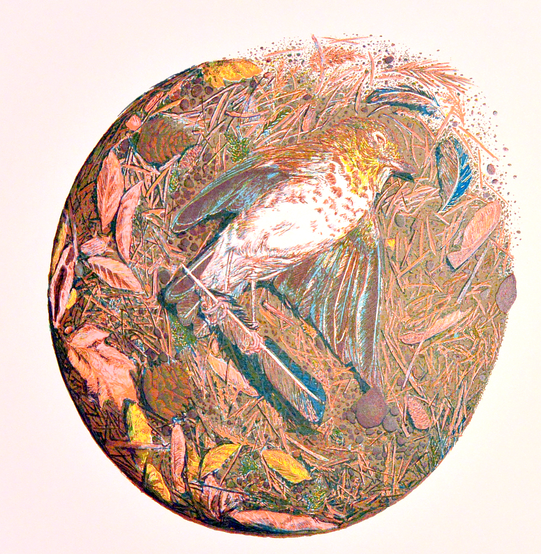 Layer 6, printed it a light magenta/red to give flesh tones to the bird's feet and add hue and detail to certain leaves and debris