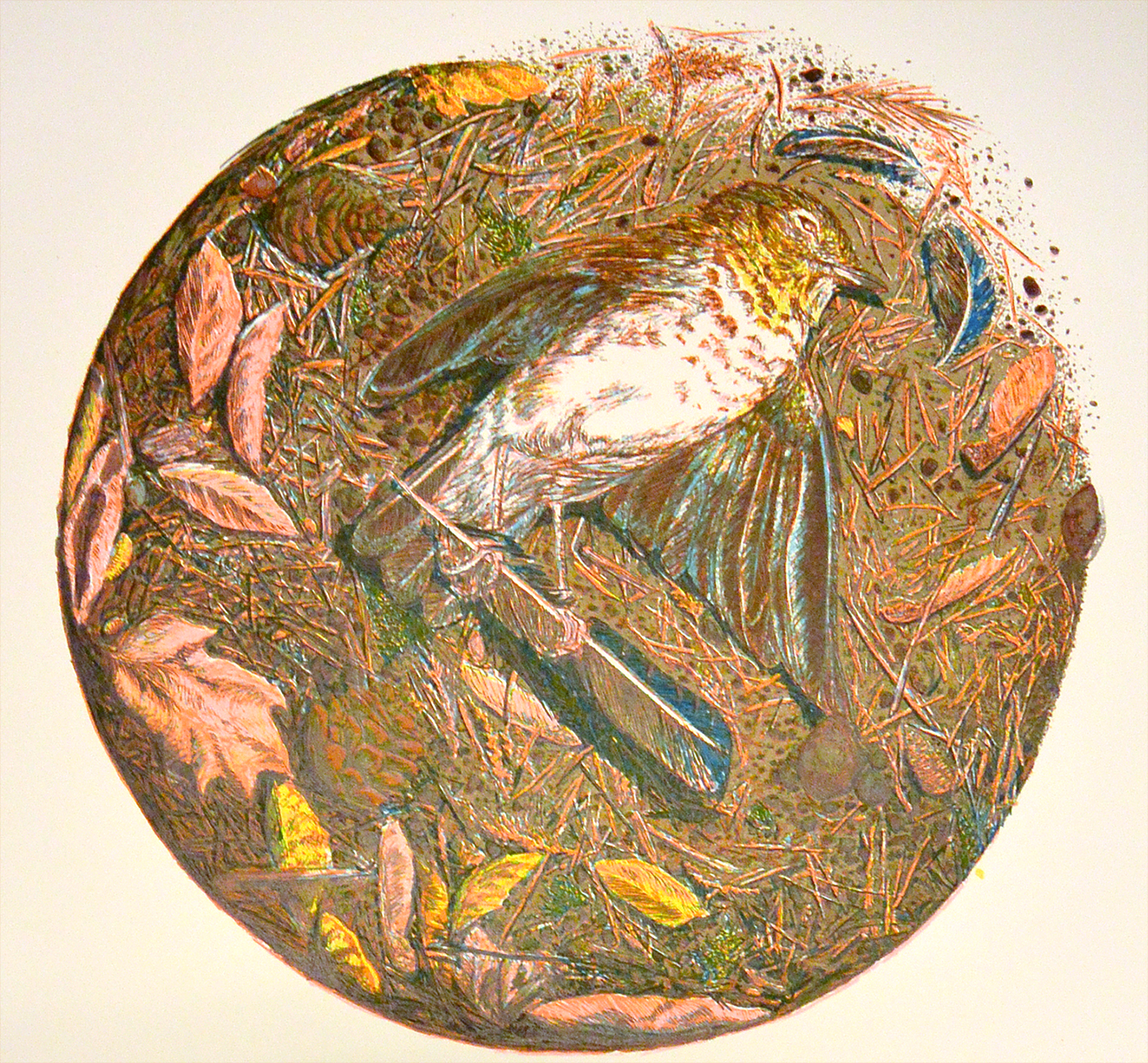 Layer 7, printed in light gray. With this layer I wanted to redefine many of the rocks, continue to deepen the shadows and add more texture to the bird's wings.