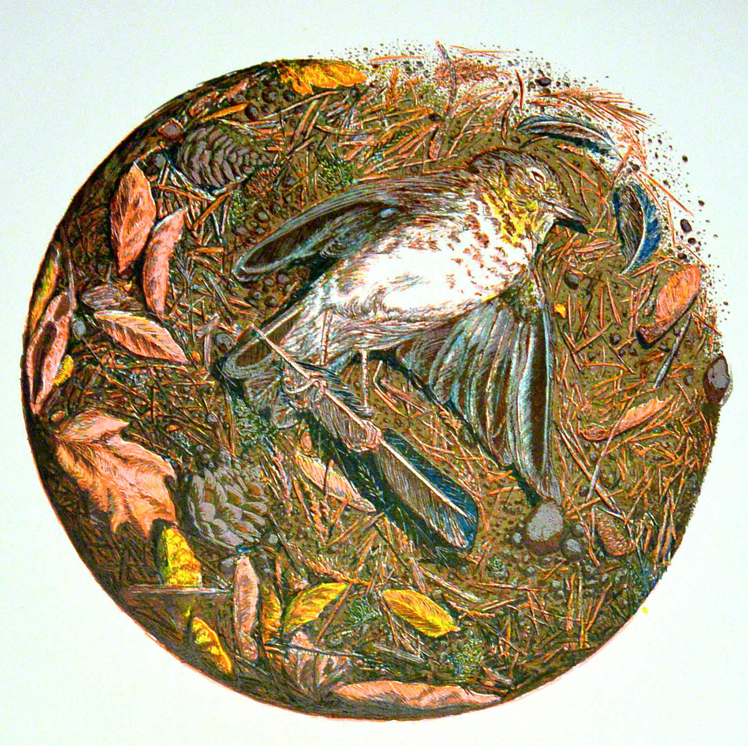 Layer 8 printed in white to add highlights to certain areas, particularly on the bird since it was getting lost in the background.