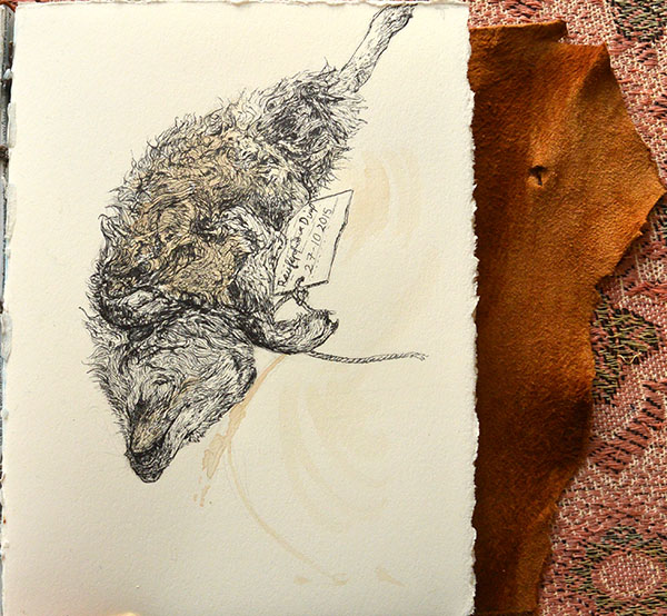 img 1.jpg