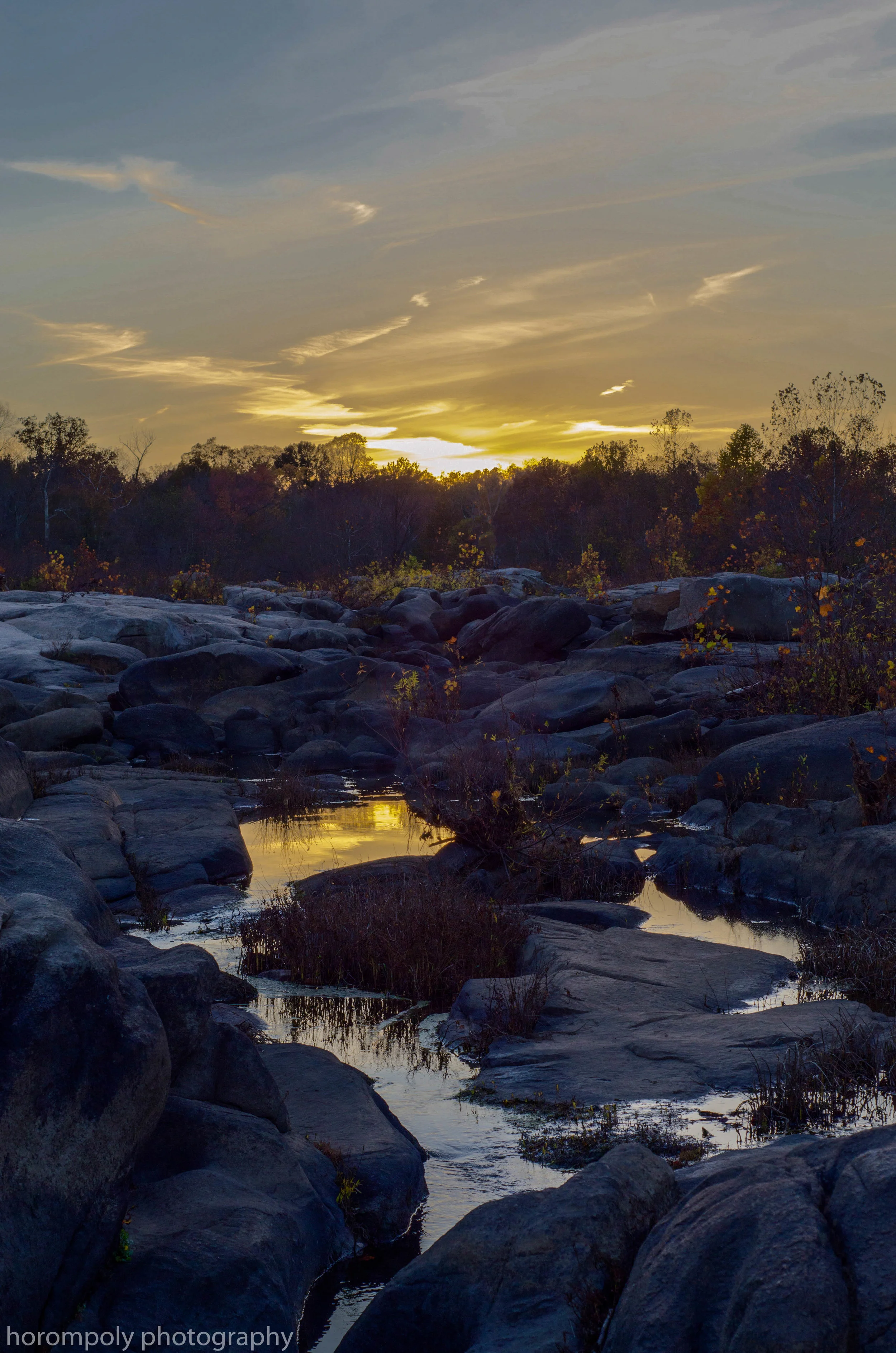 DSC_2559_v2.jpg