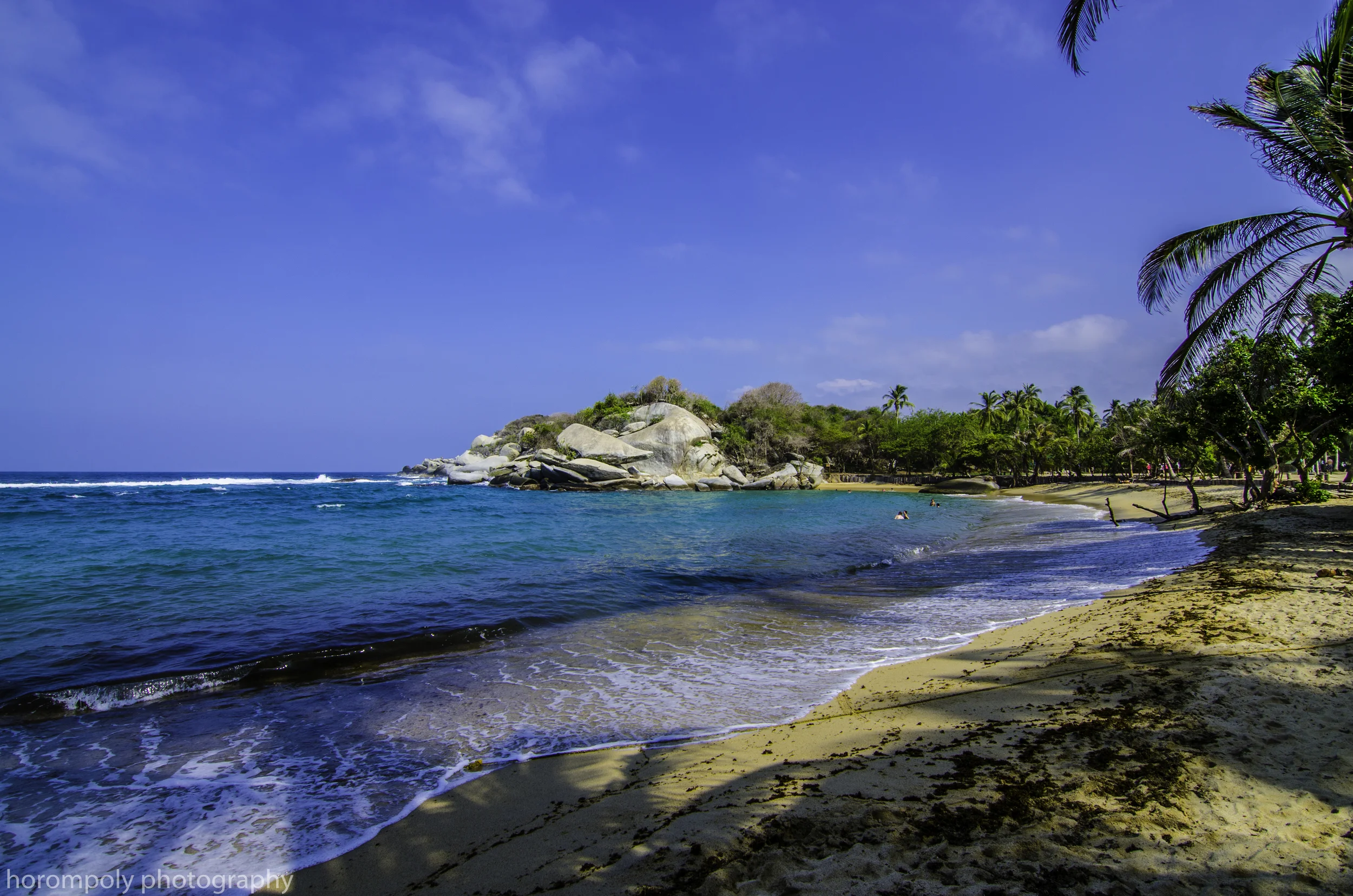 DSC_5693.jpg
