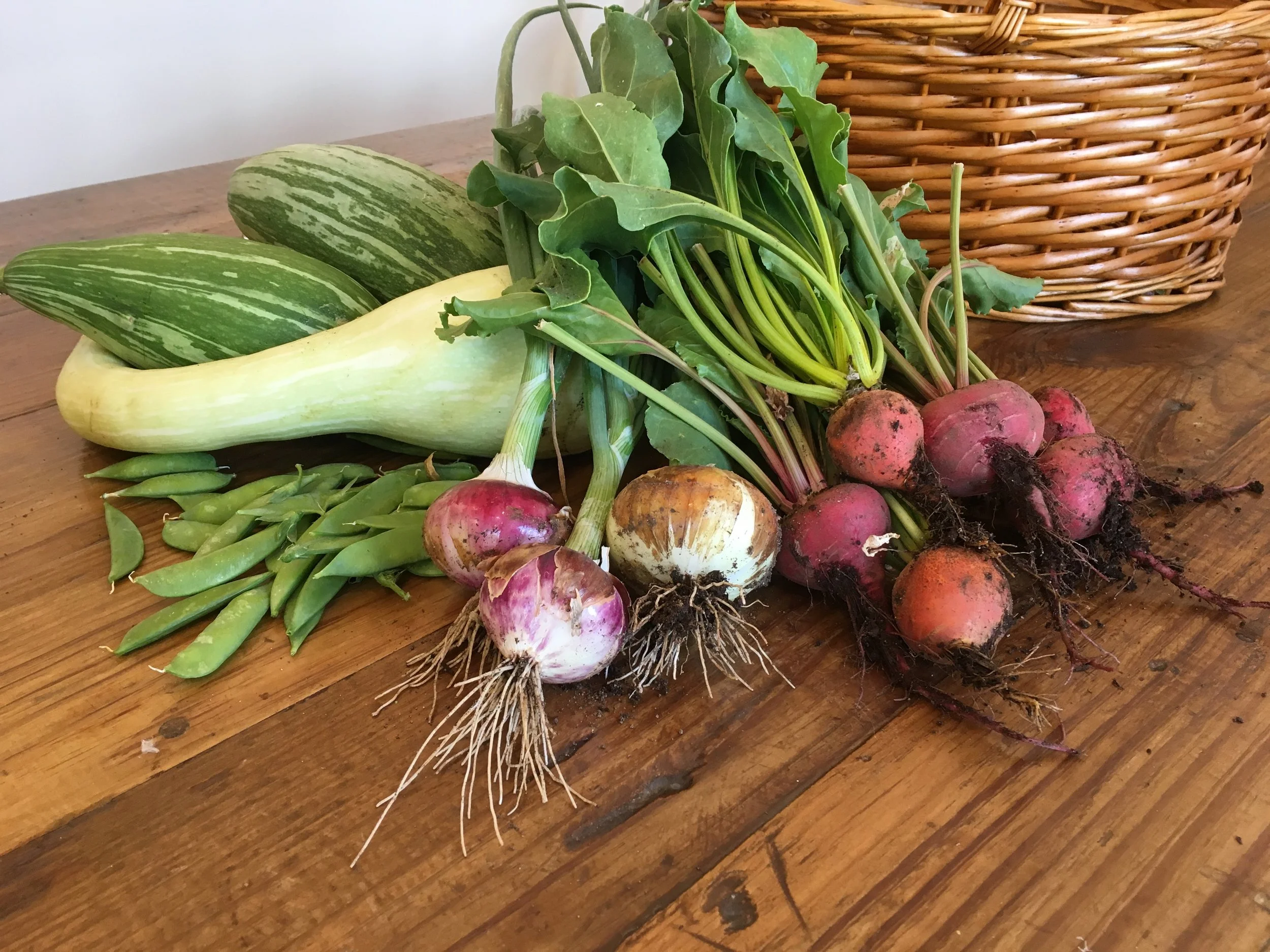 Taos Farmers Market Bounty