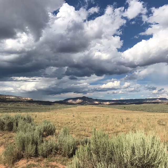 Spent the last 8 days in the Chama River Valley cooking for Green Man Retreat with Tim McLaughlin and @praisingearth 
An amazing group of men, amazing work. Thank you ~An honor to provide nourishment for you all. It&rsquo;s incredible to be out so fa