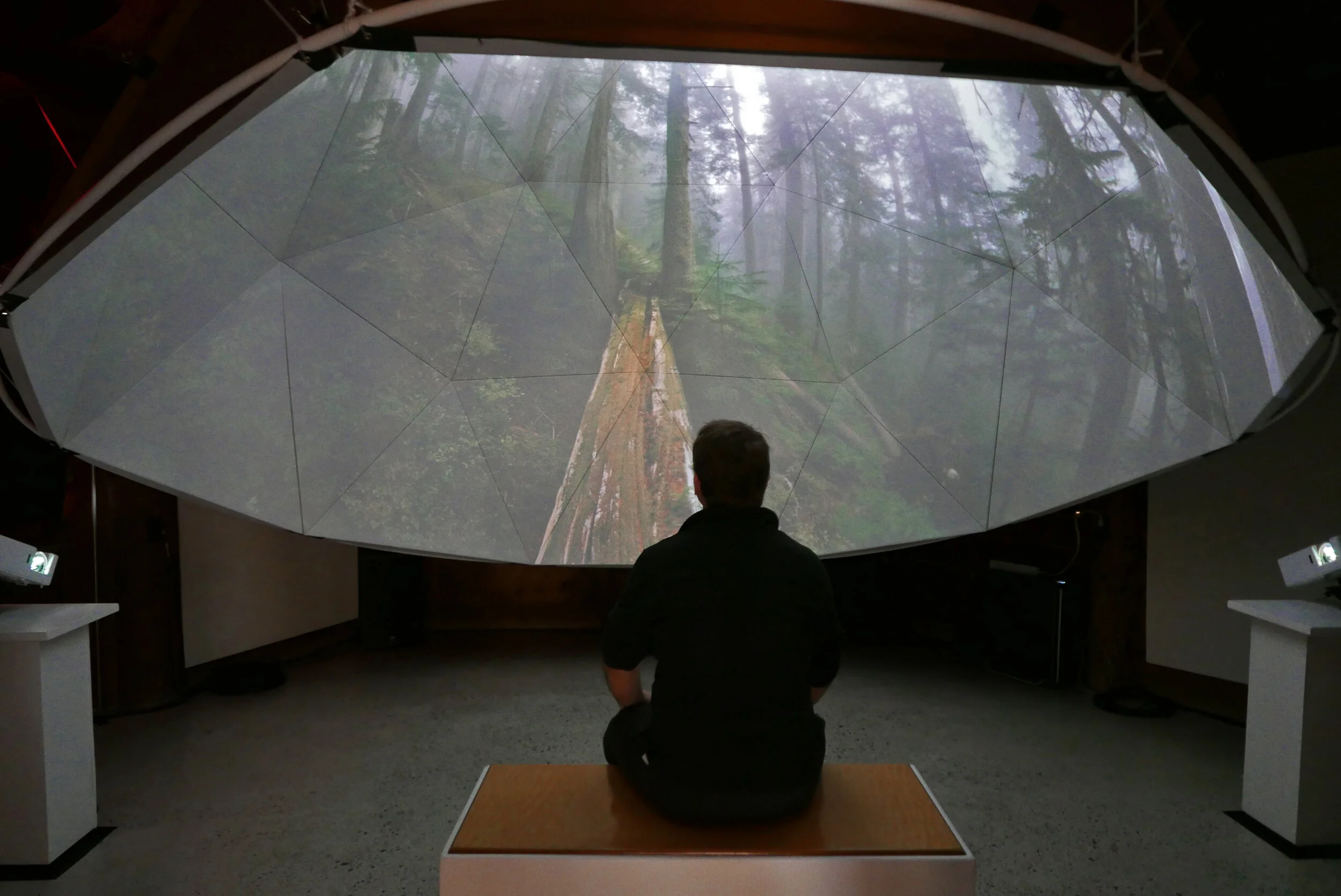 enter the sanctuary.jpg
