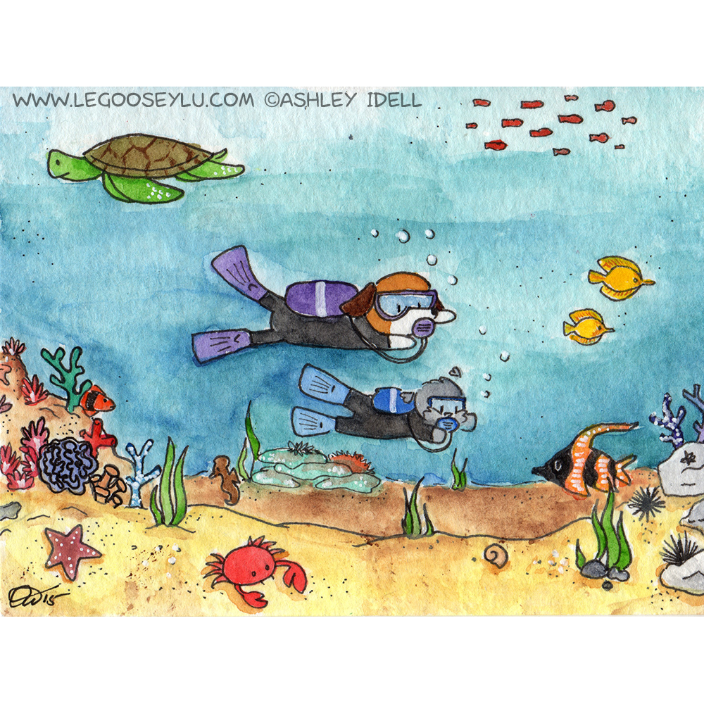 underwaterdivingadventinsta.png