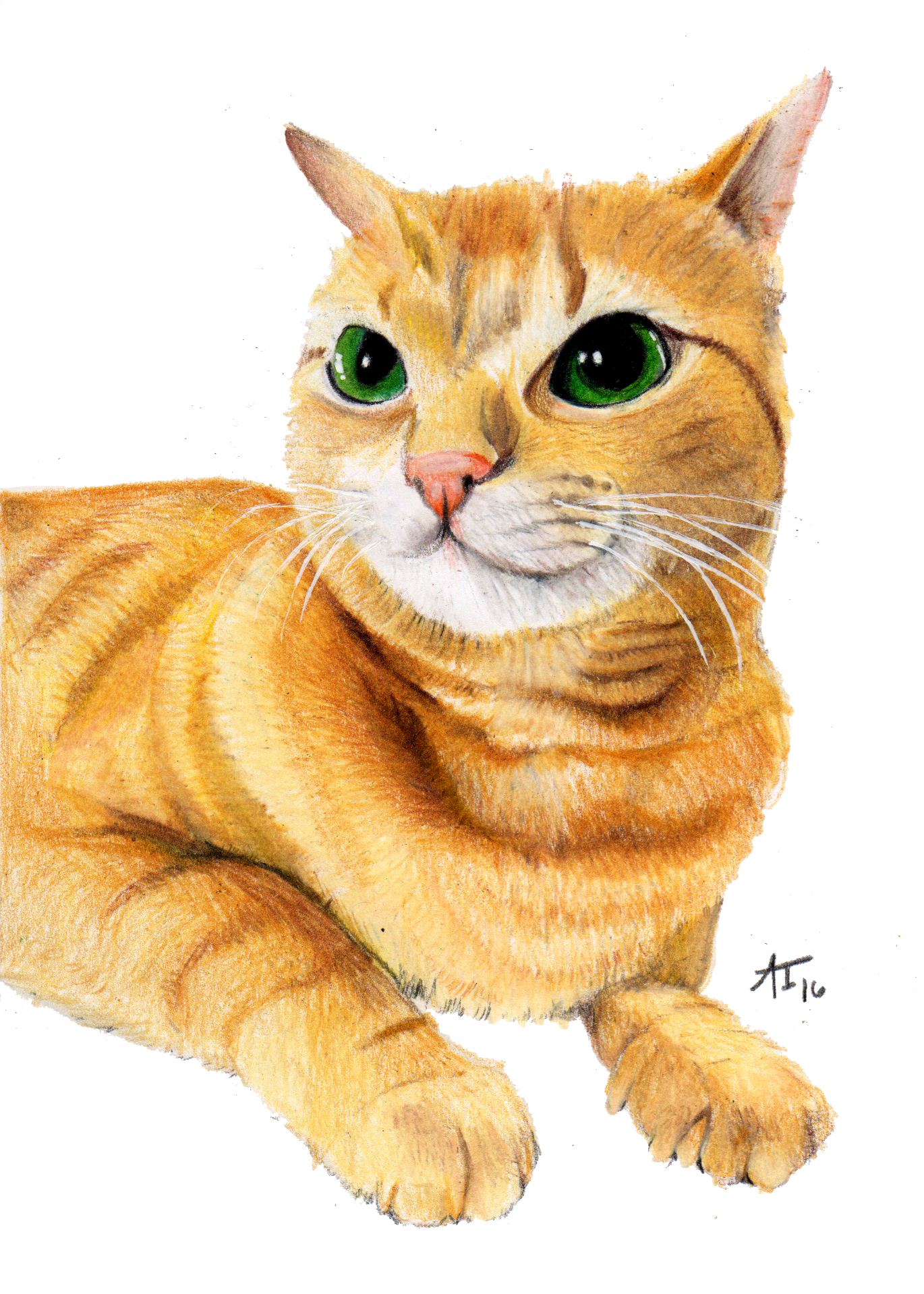 erin_sammycatportraitcoloredpencils 2.jpeg