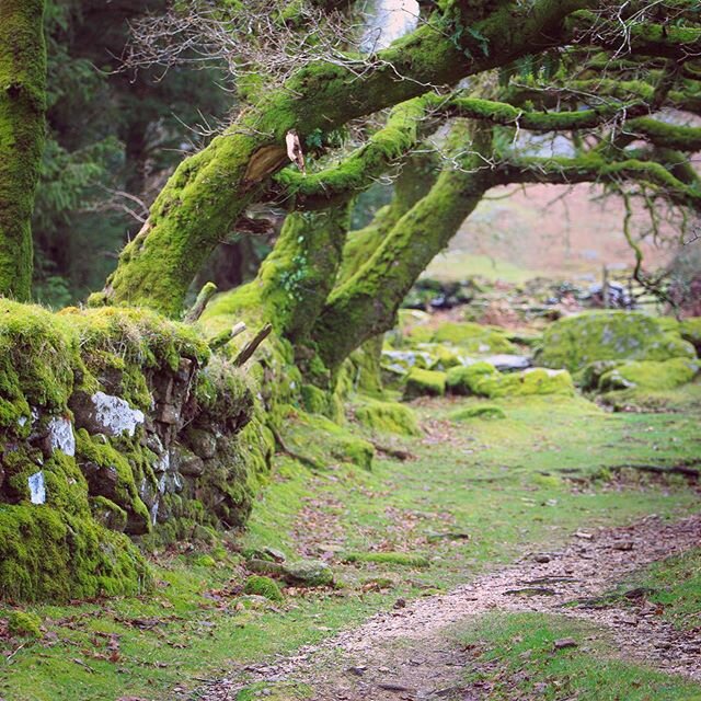 I love #Dartmoor