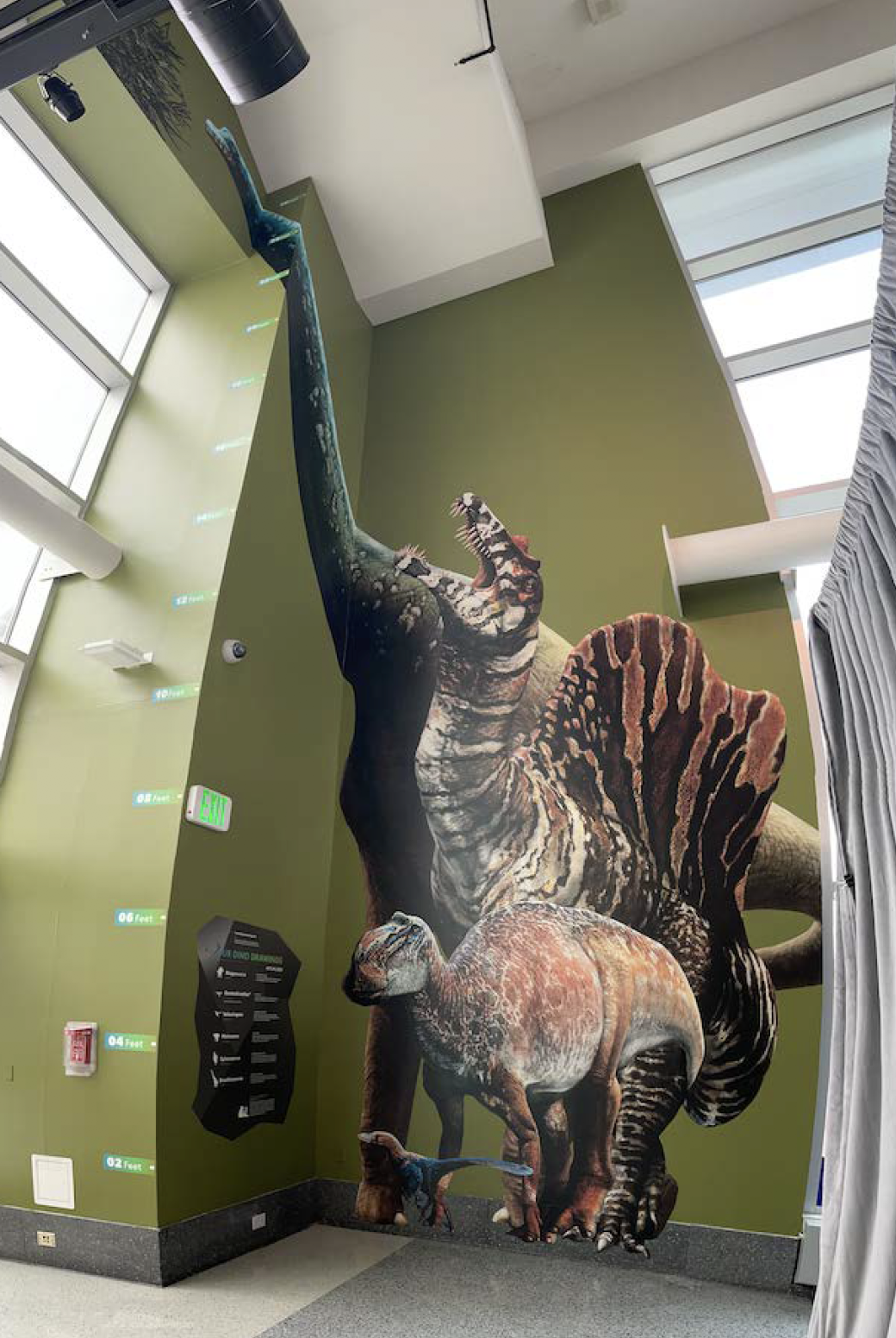 Screen Shot 2021-07-19 at 10.36.26 AM.png