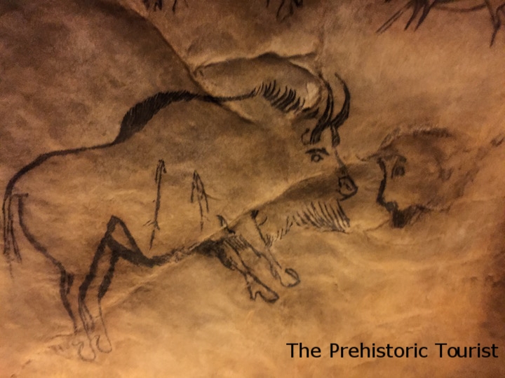 Bison from the reproduction of the Salon Noir of Niaux Cave