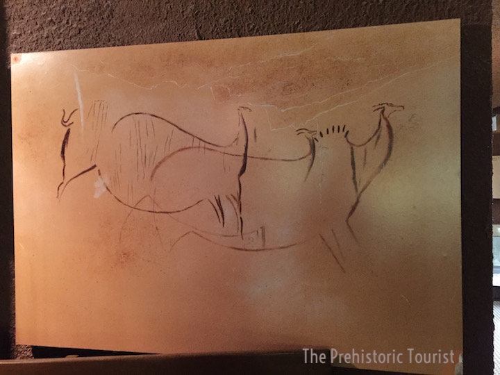A drawing of some figures in the Combel gallery of Pech Merle, not shown on the tour