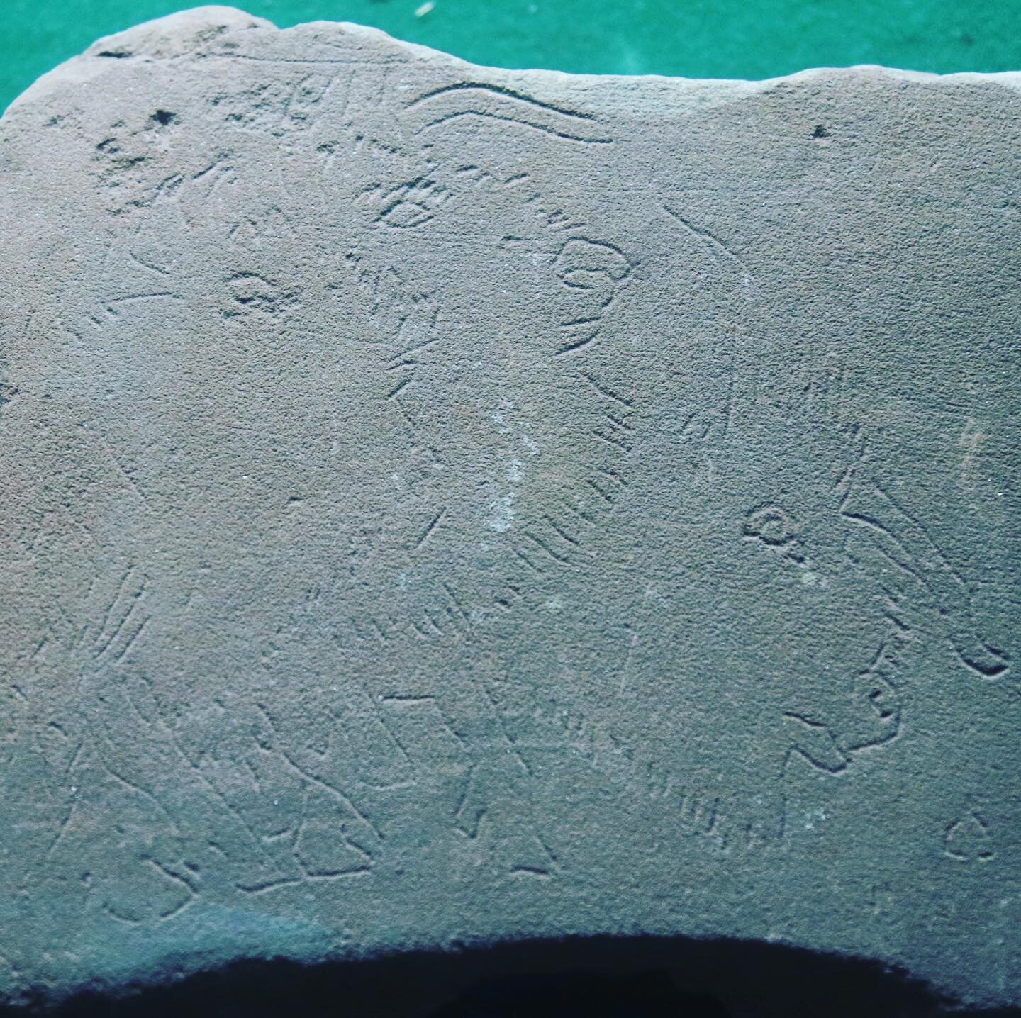 A wonderful engraving of 3 bison on a stone slab. At Chateau de Sauveboeuf, Aubas, Dordogne. --------------------------------------#paleolithic #prehistoric #prehistoire #paleo #perigord #dordogne #engraving #france #art #archaeology #stoneart #stone