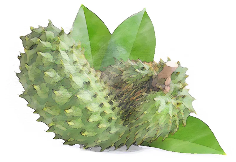 SourSop.jpg