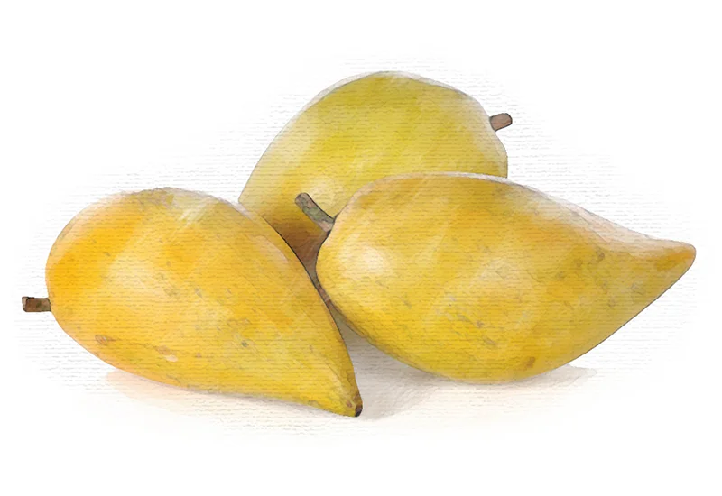 Lucuma.jpg