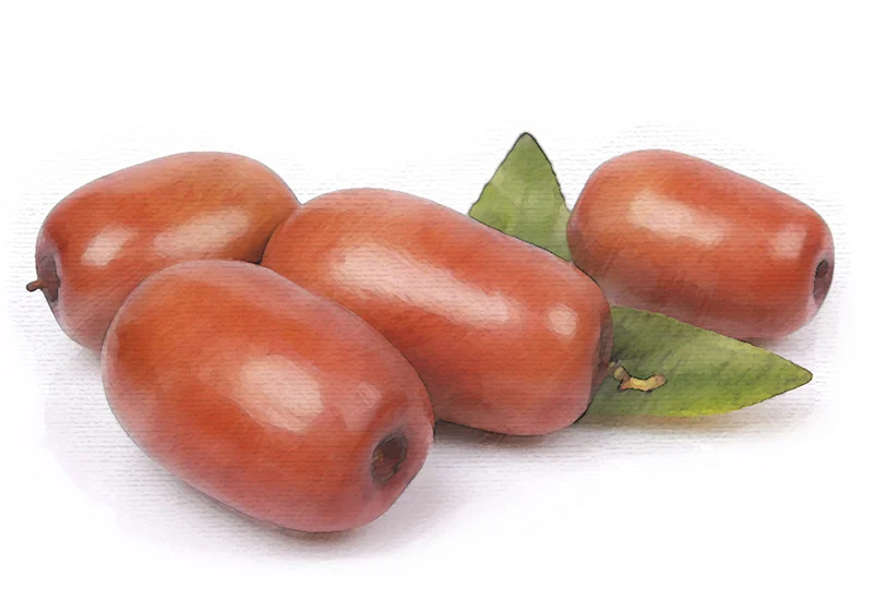 Jujube.jpg