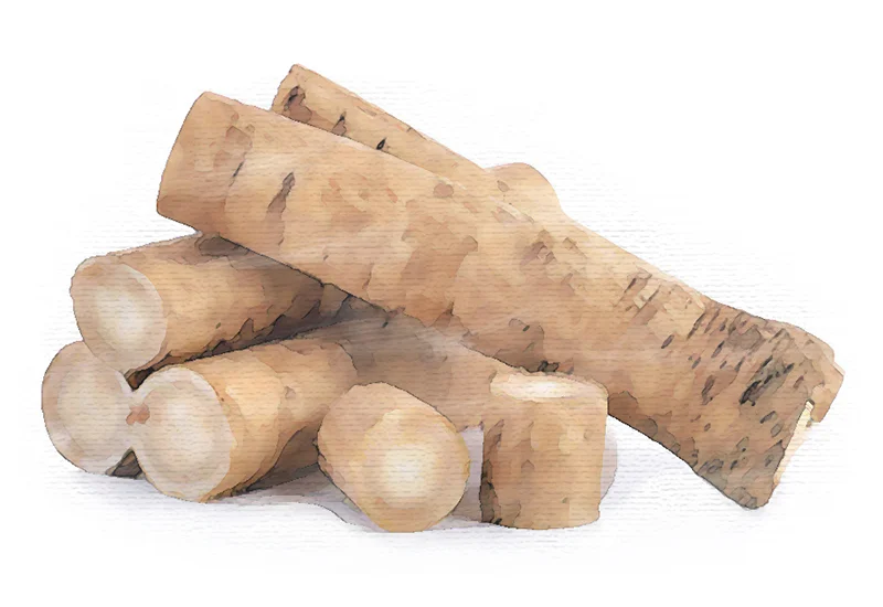 Burdock Root.jpg