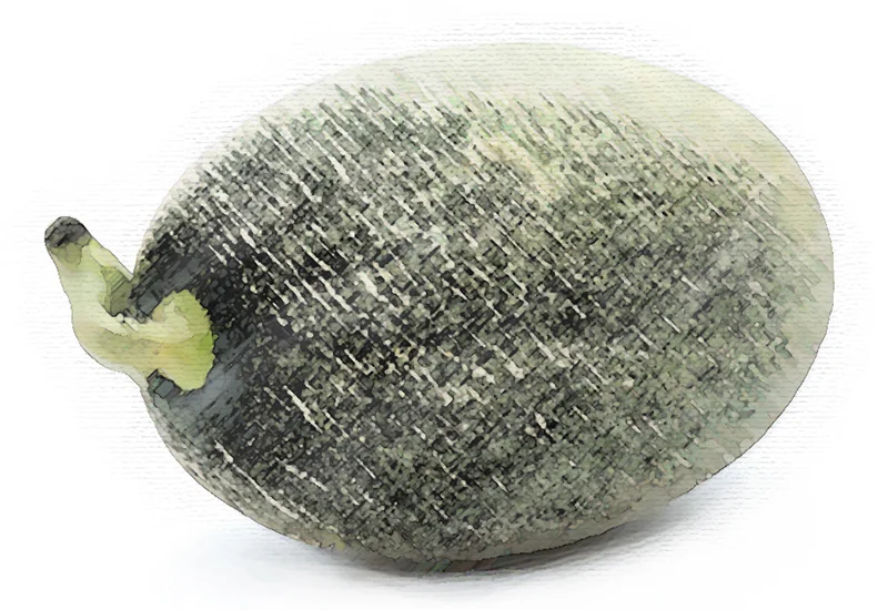 Hami Melon.jpg