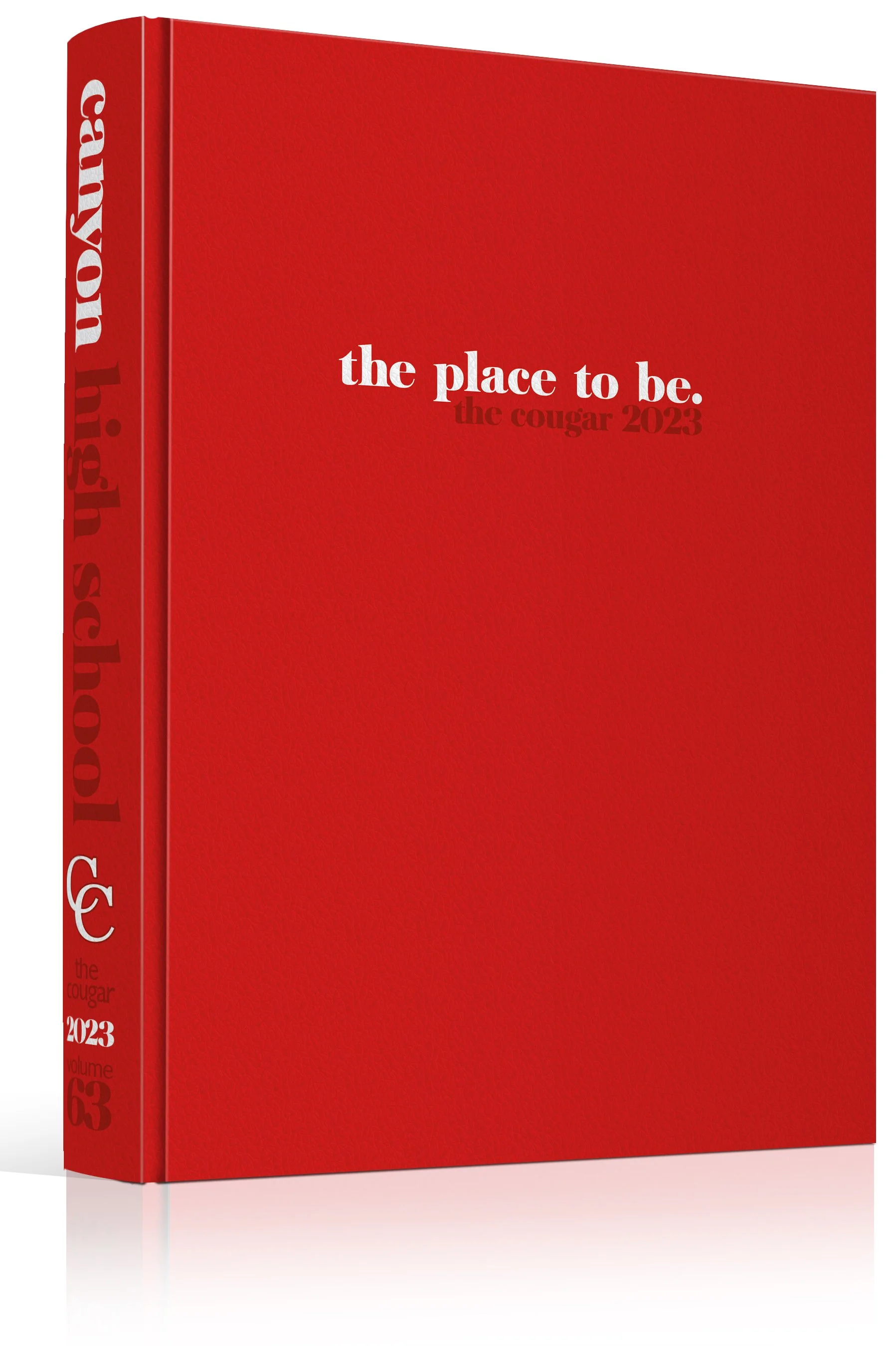 3D_23_20619cover.jpg