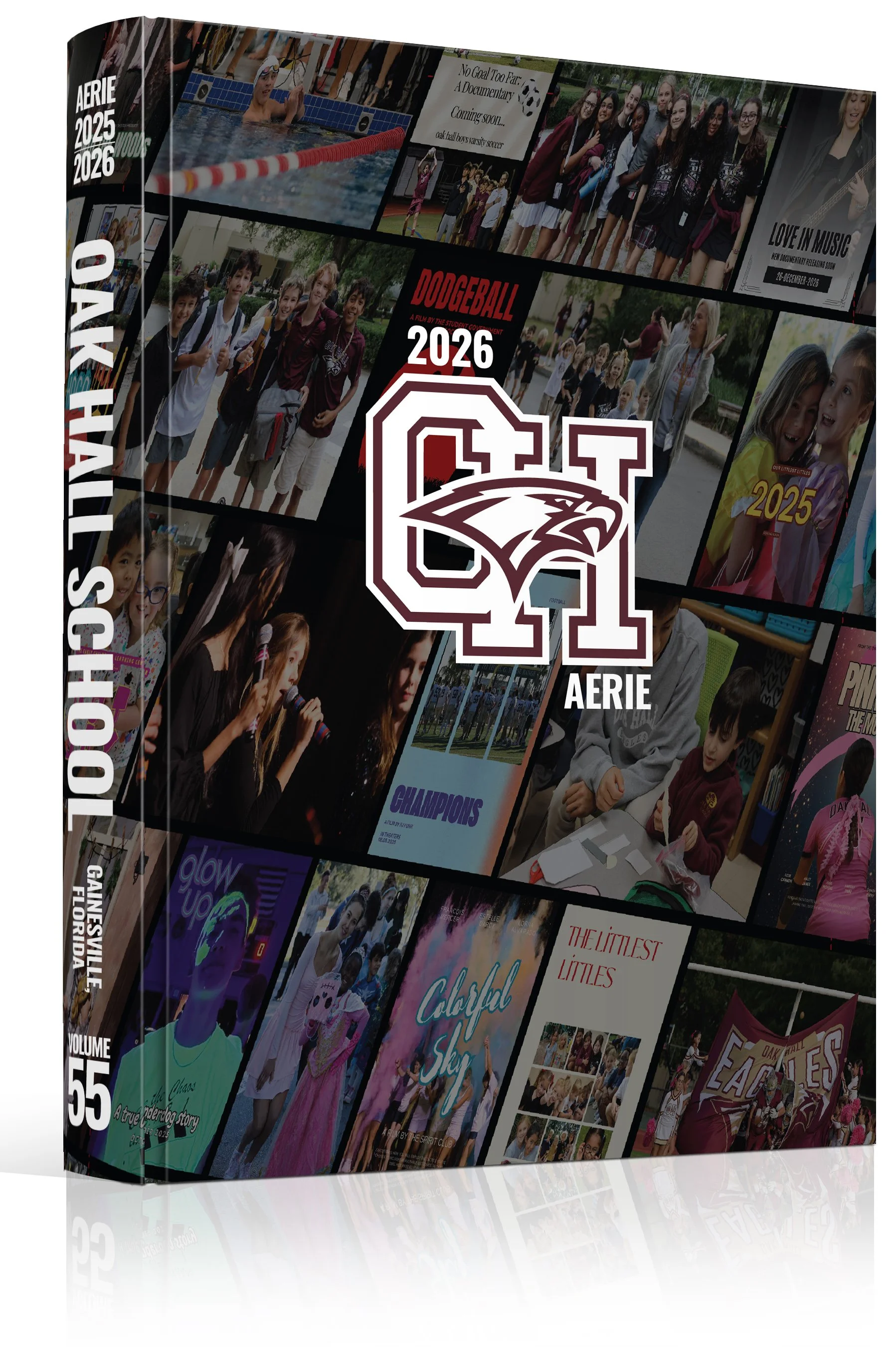 3D_26_315472cover_REV.jpg