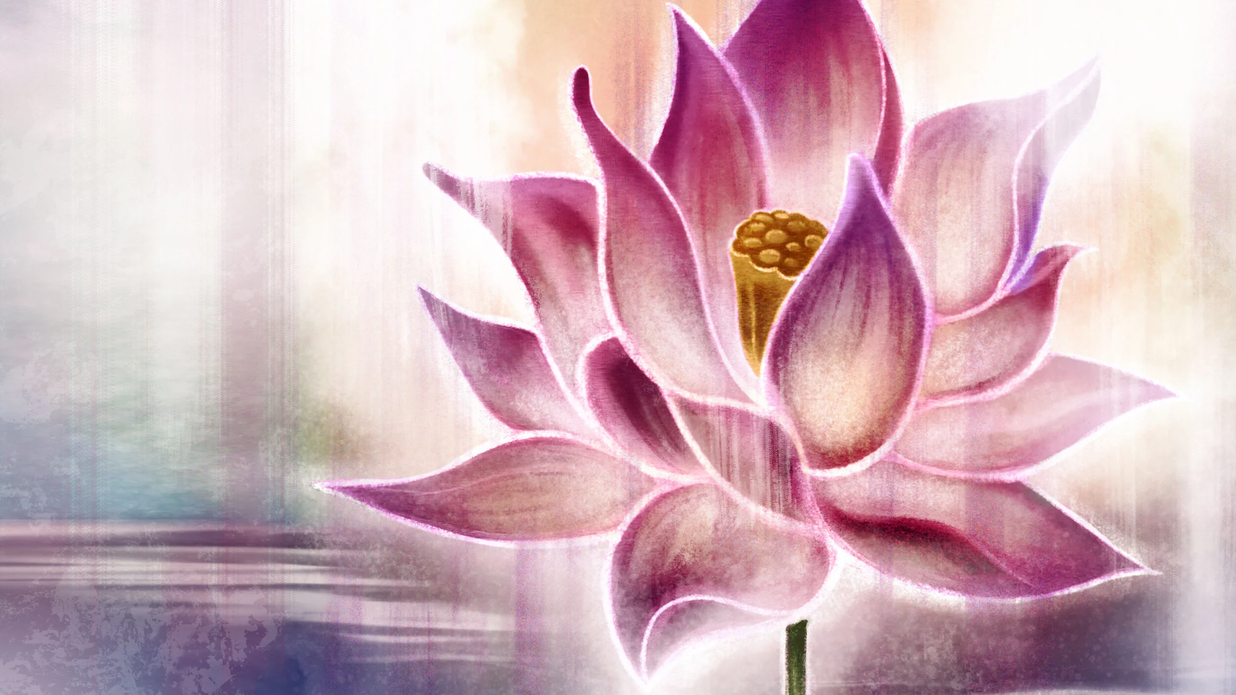 Lotus_Banner.jpg