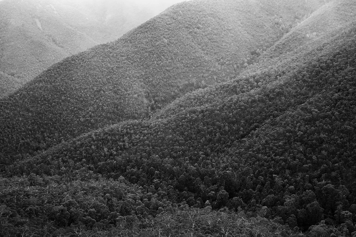 western foothills of Tidbinbilla Peak, Namadgi NP, February 2017-1.jpg