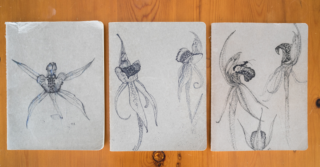 The 'Honours' notebooks - they each lasted about three months before I ran out of space and needed to 'commission' a new one. They each picture the Canberra Spider Orchid - the focal species of my Honours study.